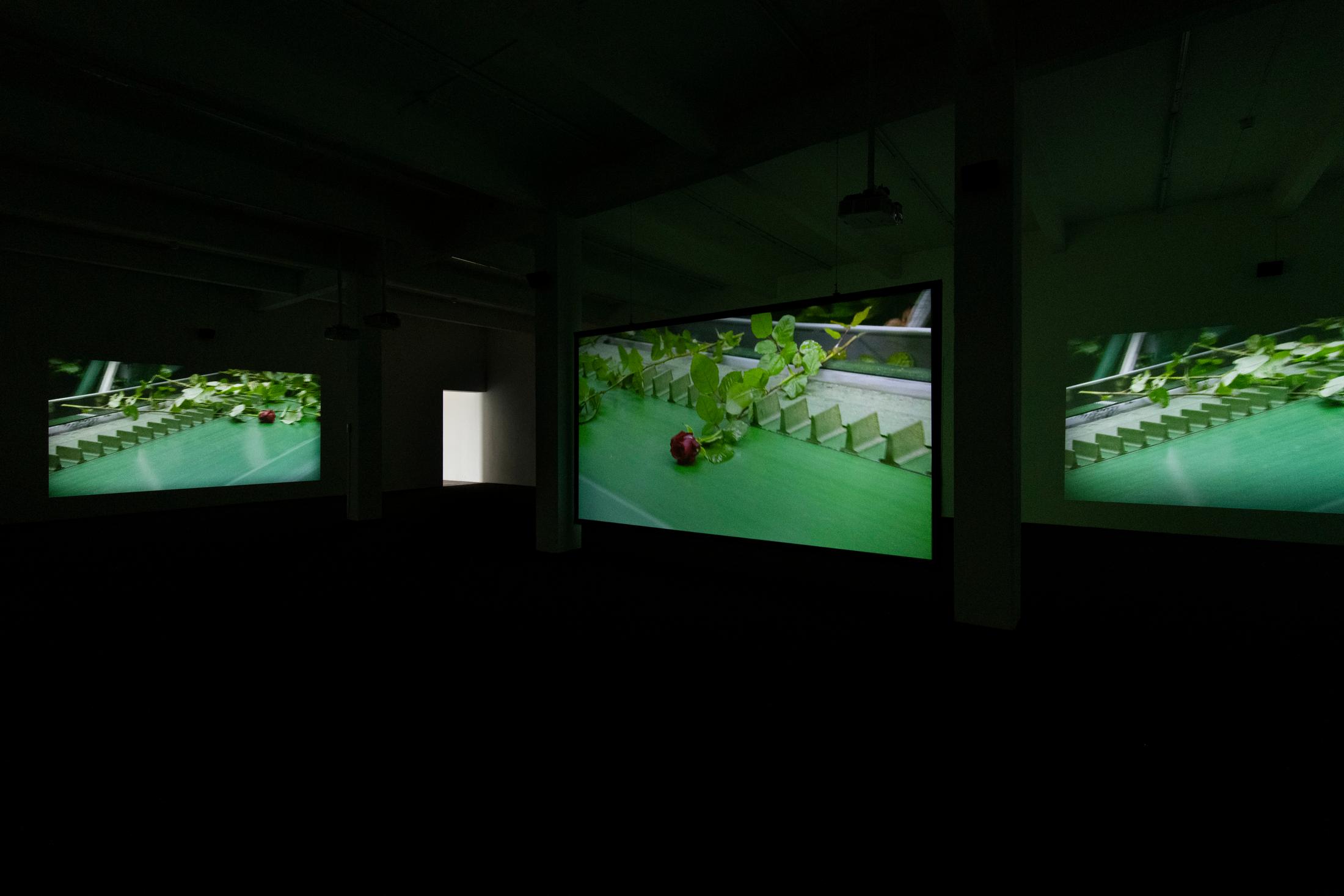 Exhibition View Éric Baudelaire Solo Show «Death Passed My Way and Stuck This Flower in My Mouth; view on Éric Baudelaire, This Flower in My Mouth, 2021» at Kunst Halle Sankt Gallen, St. Gallen, 2021 / Photo: Kunst Halle Sankt Gallen, Sebastian Schaub / Courtesy: the artist and Kunst Halle Sankt Gallen