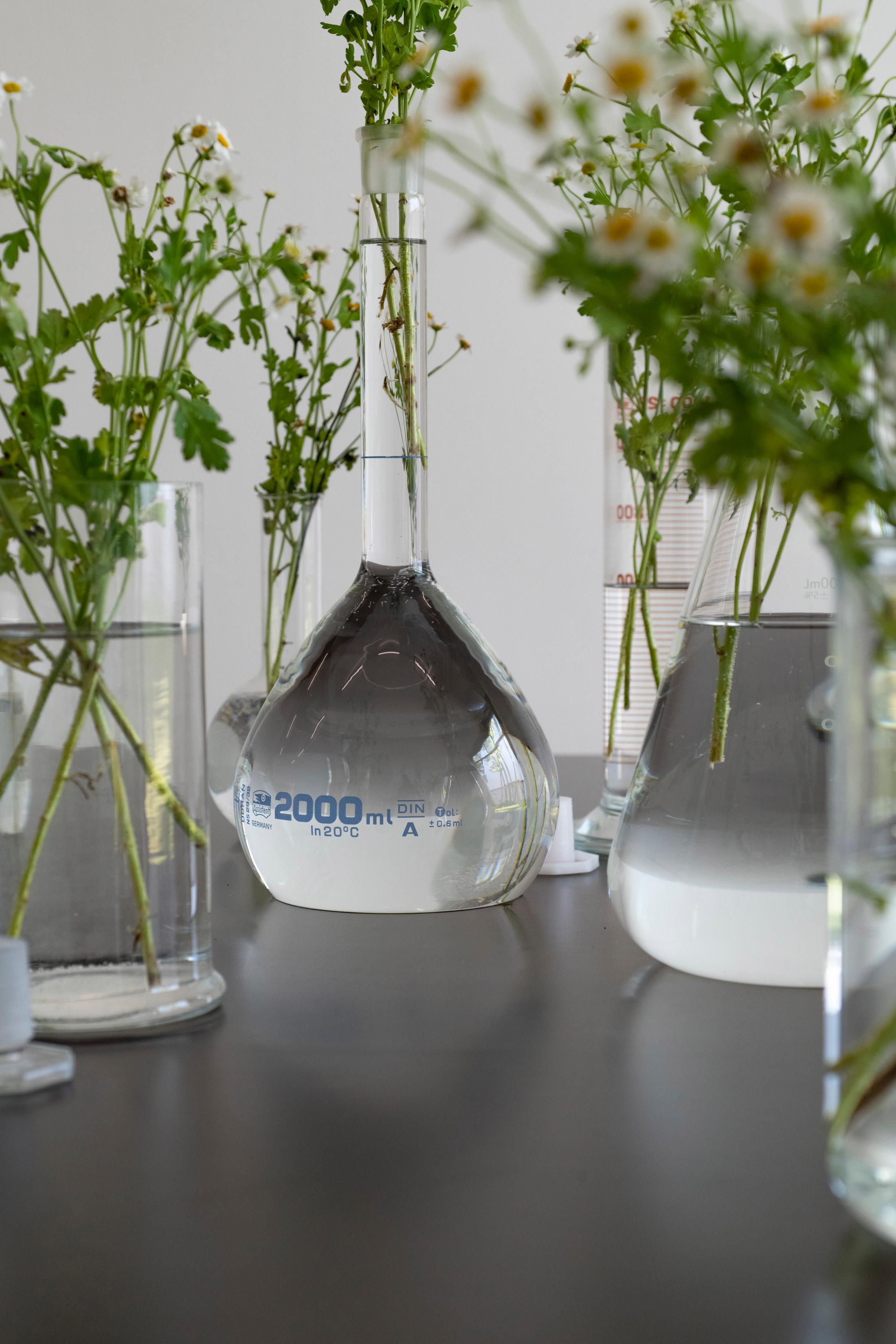 Exhibition View Éric Baudelaire Solo Show «Death Passed My Way and Stuck This Flower in My Mouth; view on Éric Baudelaire, Camilla, September 10th 2021, 2021, (detail)» at Kunst Halle Sankt Gallen, St. Gallen, 2021 / Photo: Kunst Halle Sankt Gallen, Sebastian Schaub / Courtesy: the artist and Kunst Halle Sankt Gallen