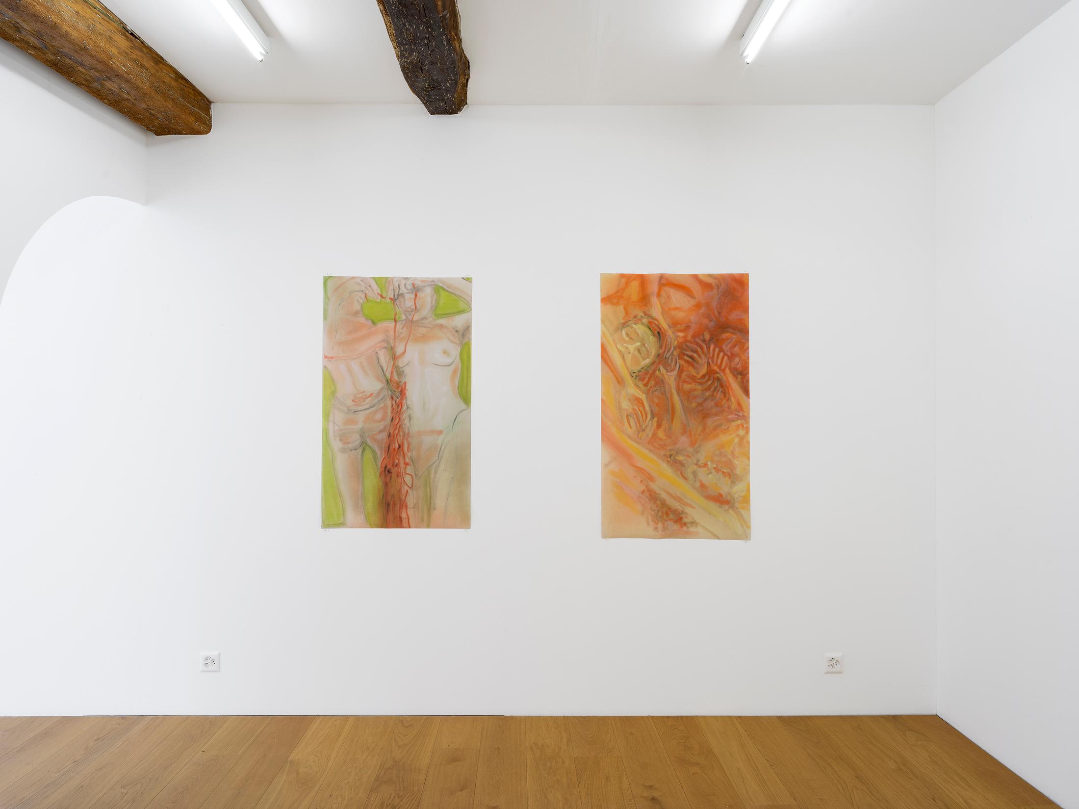 Exhibition View Evelyn Plaschg Solo Show «In Condensation» at Kirchgasse Gallery, Steckborn, 2021 / Photo: CE / Courtesy: the artist and Kirchgasse Gallery