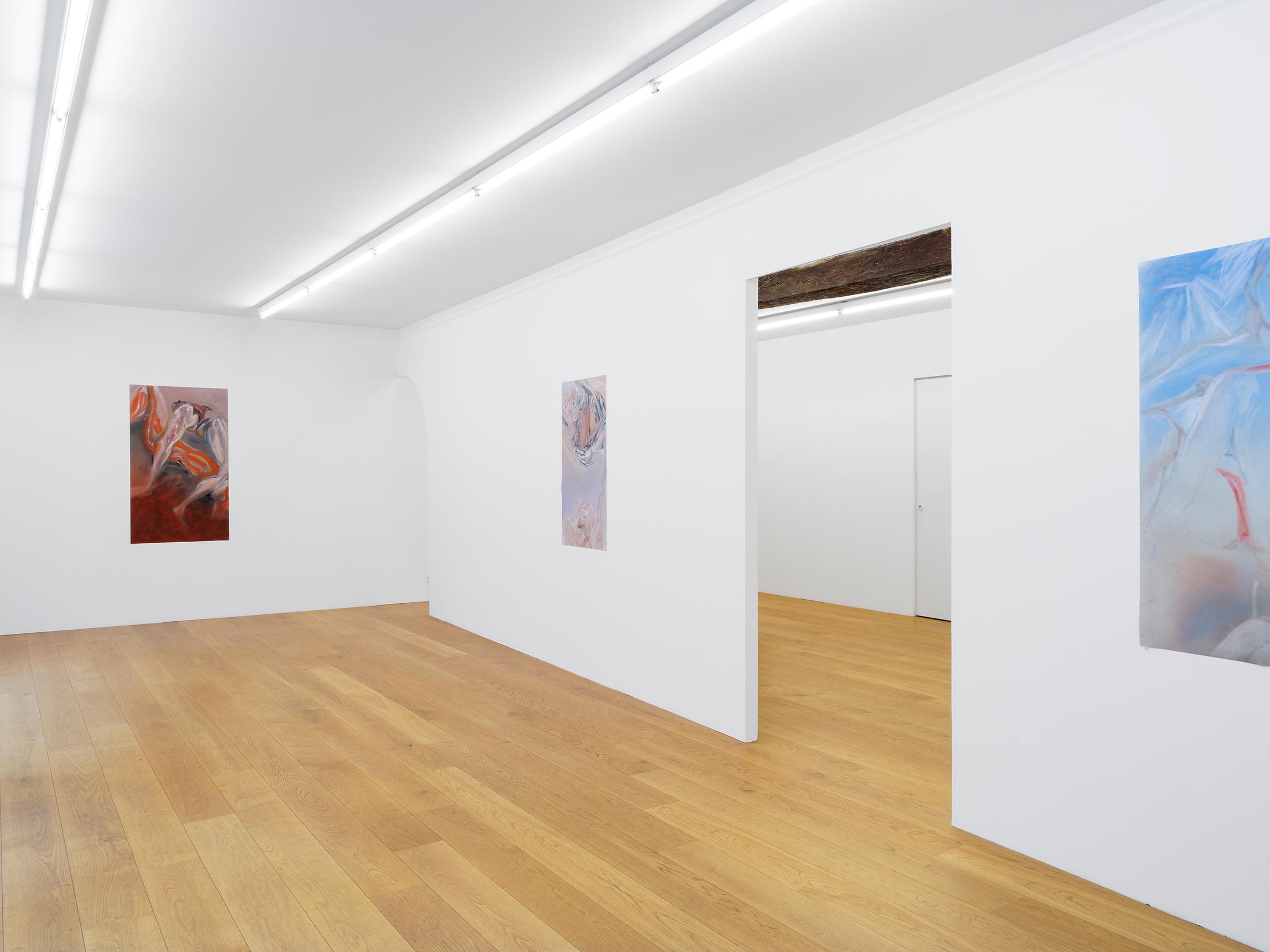 Exhibition View Evelyn Plaschg Solo Show «In Condensation» at Kirchgasse Gallery, Steckborn, 2021 / Photo: CE / Courtesy: the artist and Kirchgasse Gallery