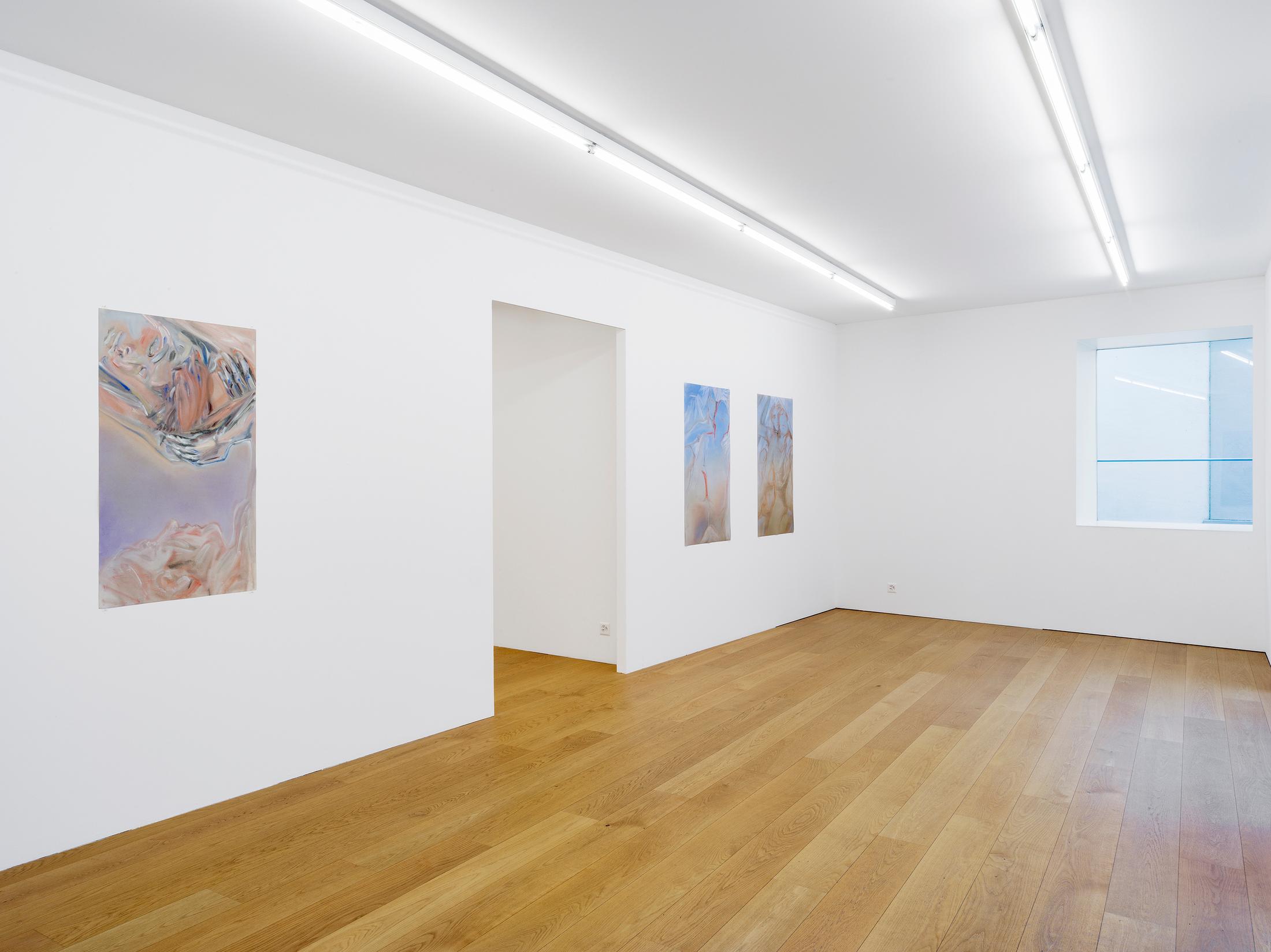 Exhibition View Evelyn Plaschg Solo Show «In Condensation» at Kirchgasse Gallery, Steckborn, 2021 / Photo: CE / Courtesy: the artist and Kirchgasse Gallery