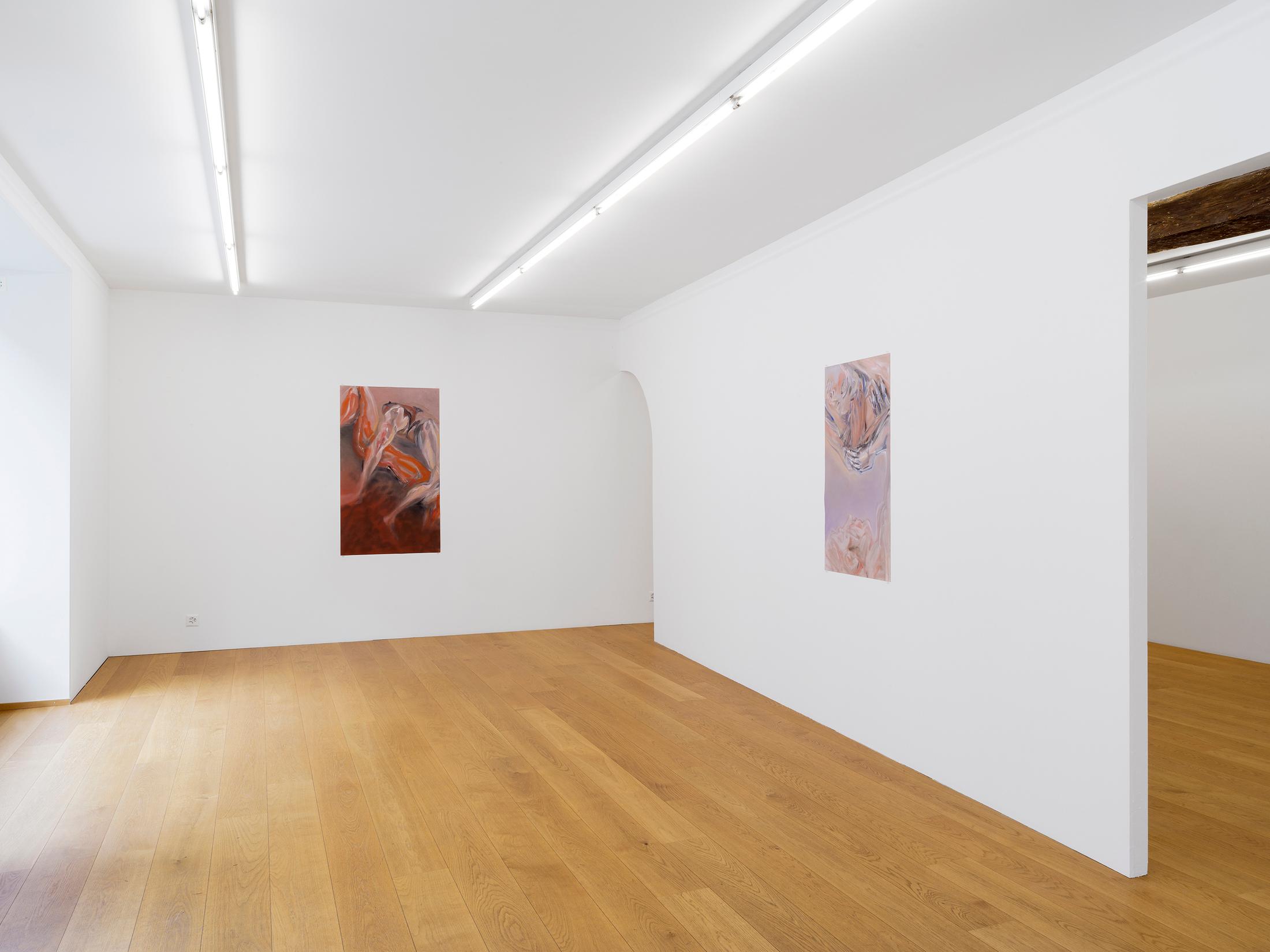 Exhibition View Evelyn Plaschg Solo Show «In Condensation» at Kirchgasse Gallery, Steckborn, 2021 / Photo: CE / Courtesy: the artist and Kirchgasse Gallery