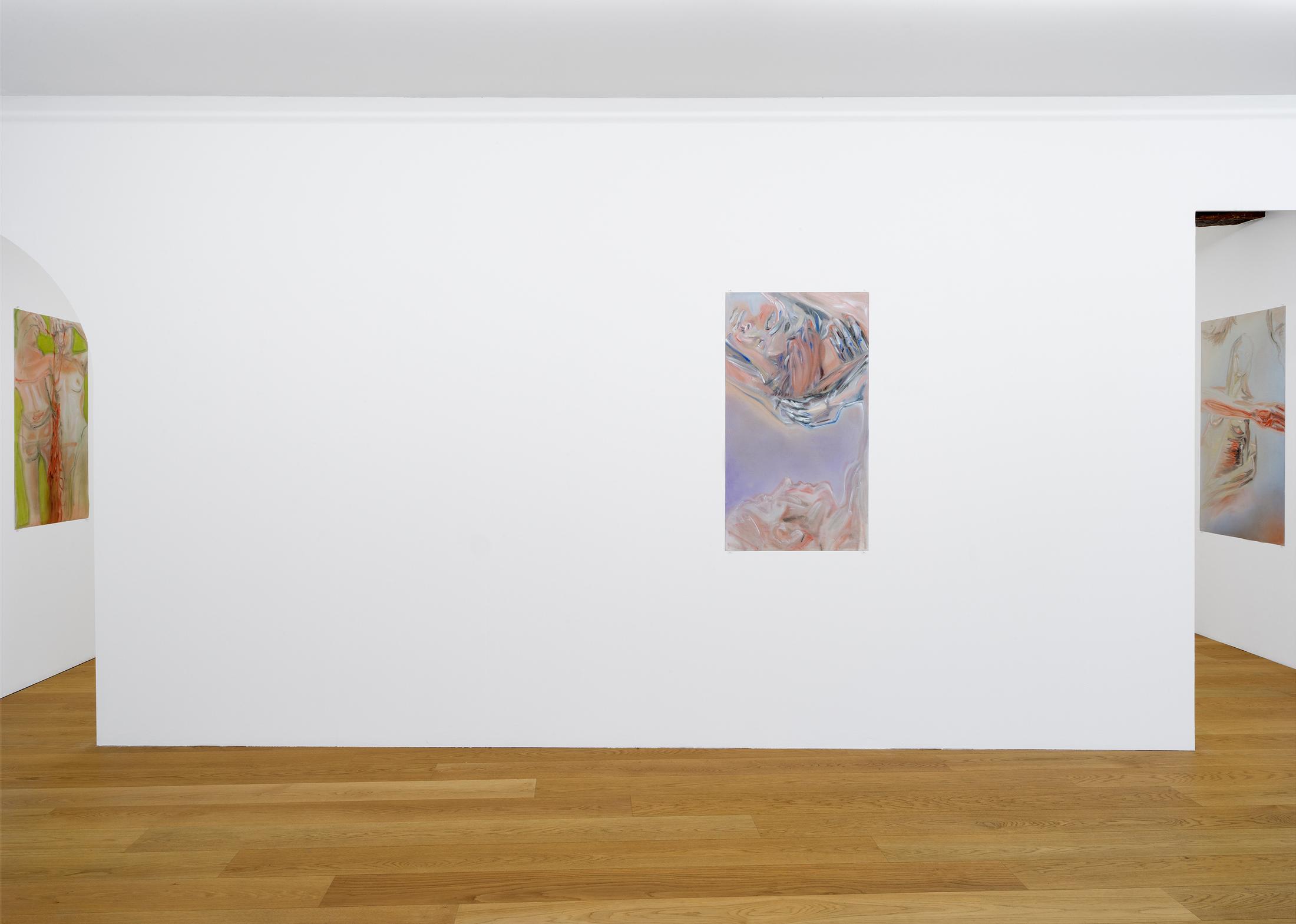 Exhibition View Evelyn Plaschg Solo Show «In Condensation» at Kirchgasse Gallery, Steckborn, 2021 / Photo: CE / Courtesy: the artist and Kirchgasse Gallery