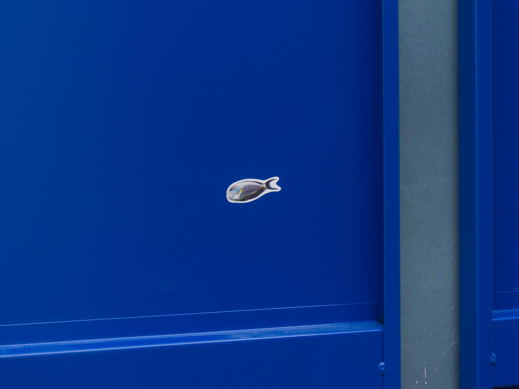 Exhibition View Groupshow «Exposition Collective; view on Thomas Julier & Miriam Laura Leonardi, Finding Nemo, 2019» at Silicon Malley, Prilly, 2019 / Courtesy: the artist and Silicon Malley