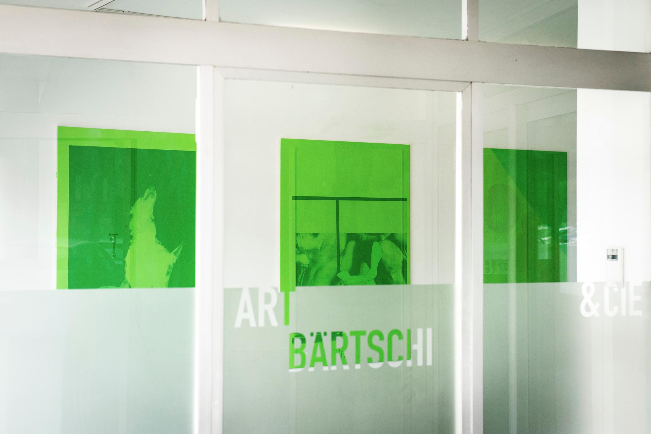 Exhibition View Fabian Marti «The Pitfalls of Reincarnation» at Art Bärtschi & Cie, 2018 / Photo: Greg Clément / Courtesy: the artist and Art Bärtschi & Cie