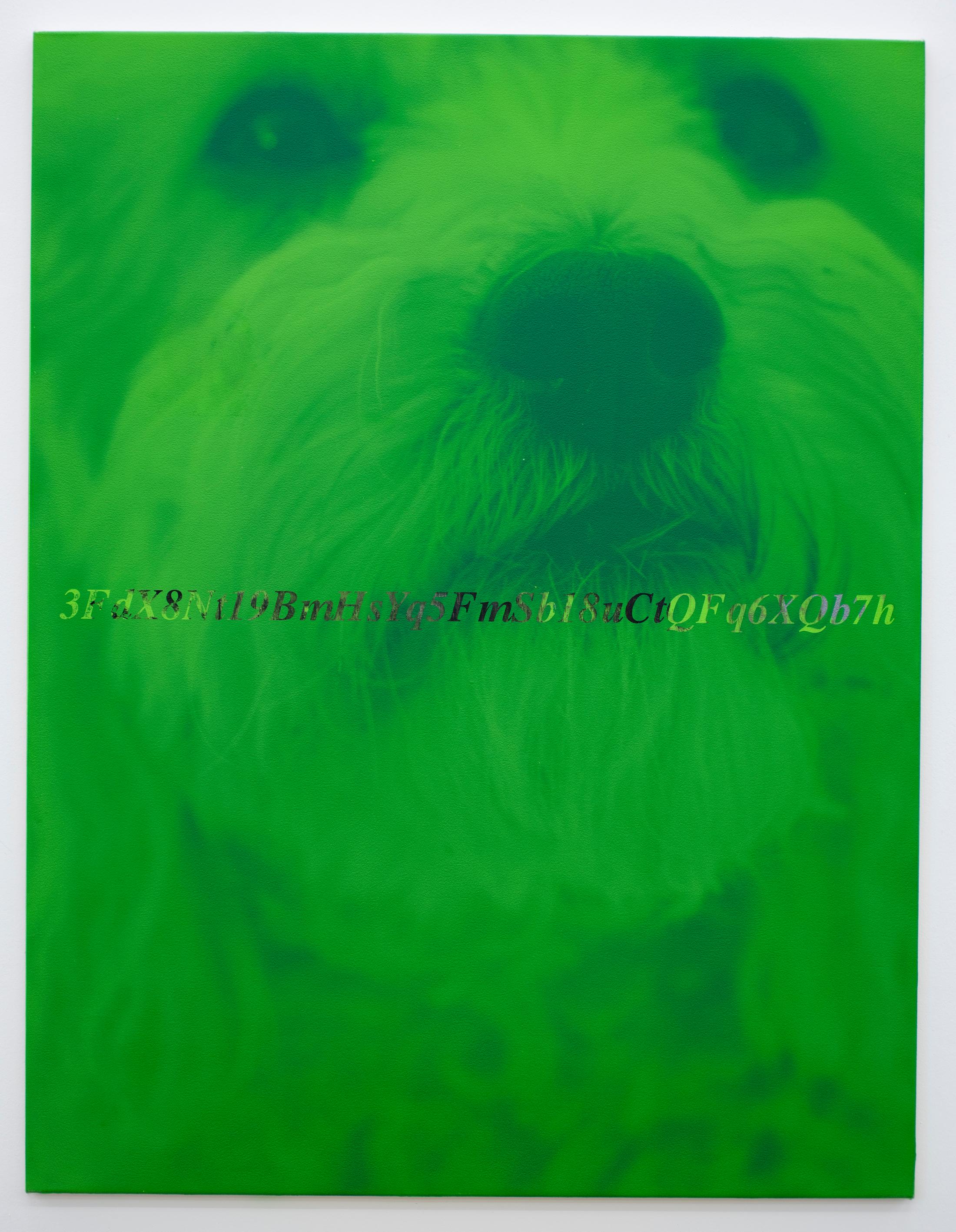 Exhibition View Fabian Marti Soloshow «I LÄBE NO; view on I LÄBE NO (Lutz & 3FdX8Nt19BmHsYq5FmSb18uCtQFq6XQb7h), 2019» at Galerie Peter Kilchmann, Zurich, 2019 / Photo: Sebastian Schaub / Courtesy: the artist and Galerie Peter Kilchmann