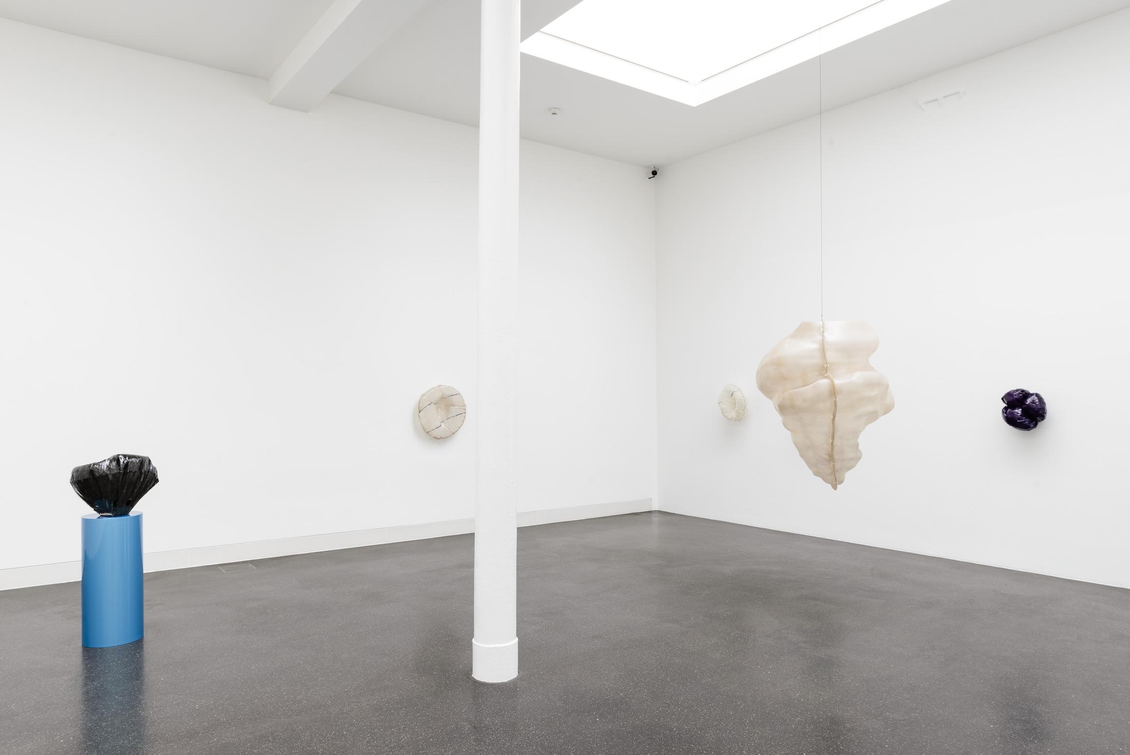 Exhibition View Florian Germann “Ringer” at Galerie Gregor Staiger / Photo and Courtesy: Galerie Gregor Staiger, Zürich