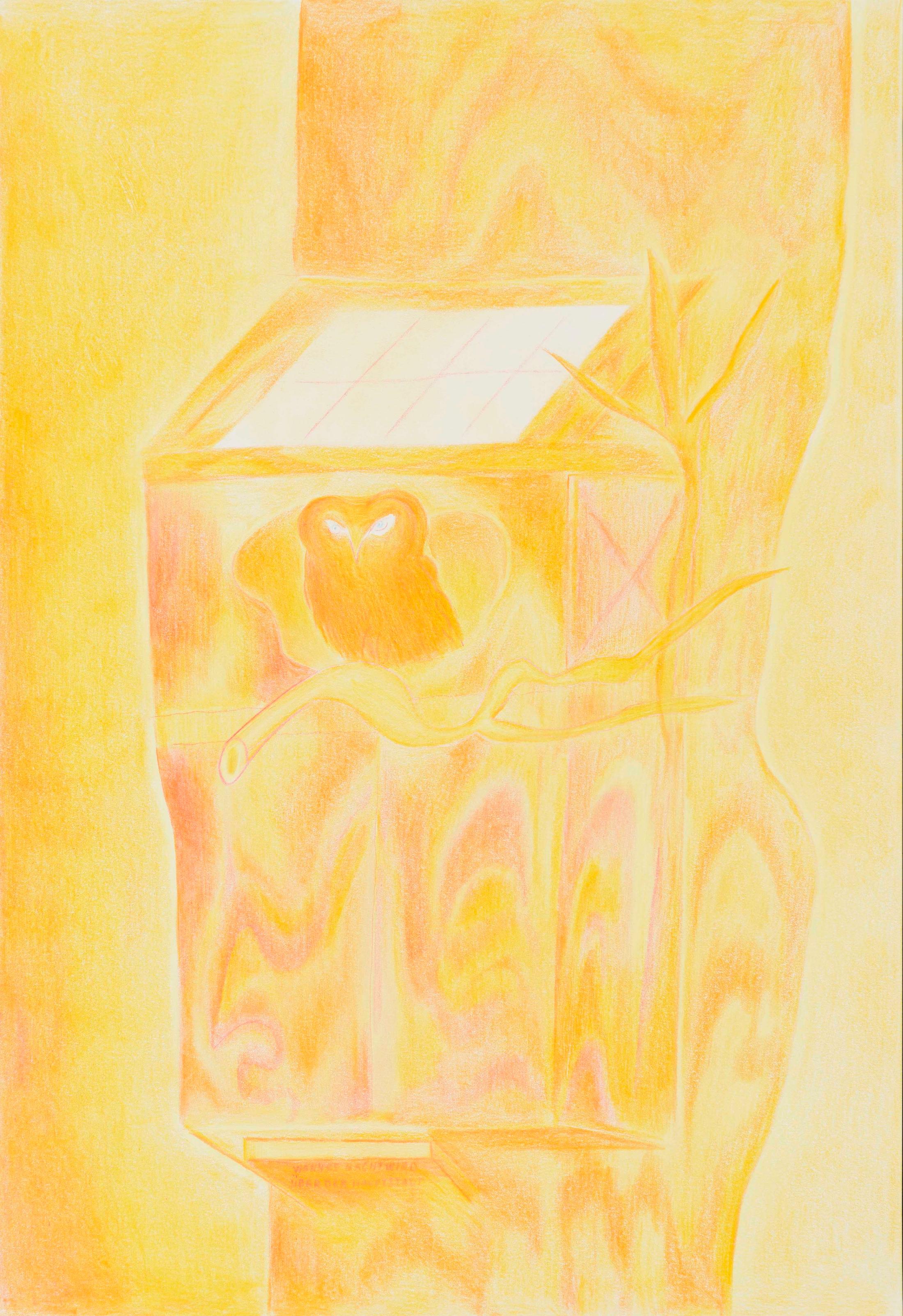 Exhibition View Florian Germann Solo Show «raised by dogs; view on Florian Germann, Untitled, 2020, Colored pencil on paper, framed, five elements, Paper: 42 x 29 cm each, Frame: 46.3 x 33.3 x 2.8 cm each» at Galerie Gregor Staiger, Zurich, 2020 / Courtesy: the artist and Galerie Gregor Staiger