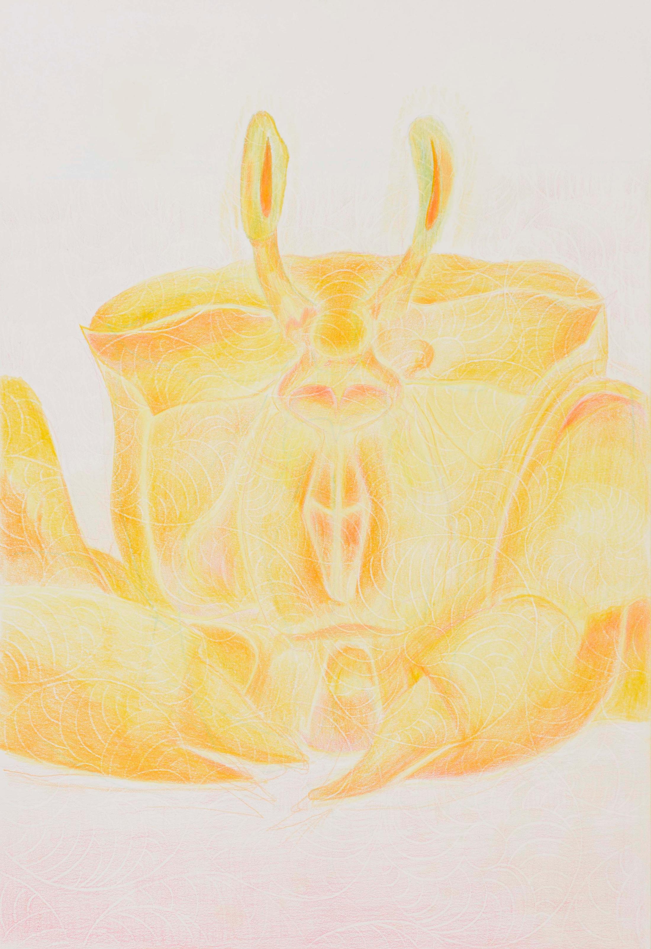 Exhibition View Florian Germann Solo Show «raised by dogs; view on Florian Germann, Untitled, 2020, Colored pencil on paper, framed, five elements, Paper: 42 x 29 cm each, Frame: 46.3 x 33.3 x 2.8 cm each» at Galerie Gregor Staiger, Zurich, 2020 / Courtesy: the artist and Galerie Gregor Staiger