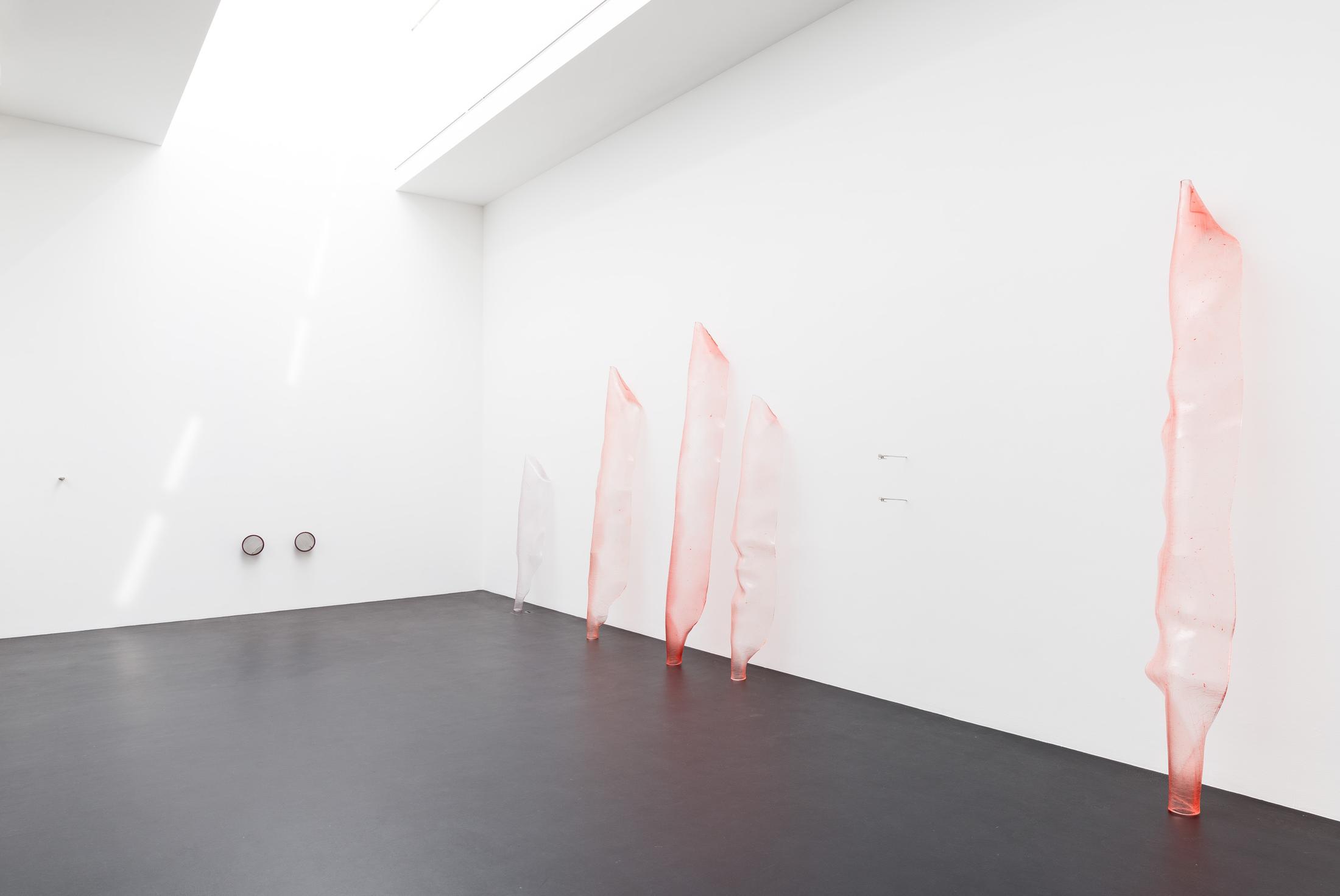 Exhibition View Florian Germann Solo Show «raised by dogs» at Galerie Gregor Staiger, Zurich, 2020 / Courtesy: the artist and Galerie Gregor Staiger

raised by dogs

Exhibition view
Galerie Gregor Staiger, Zurich 2020