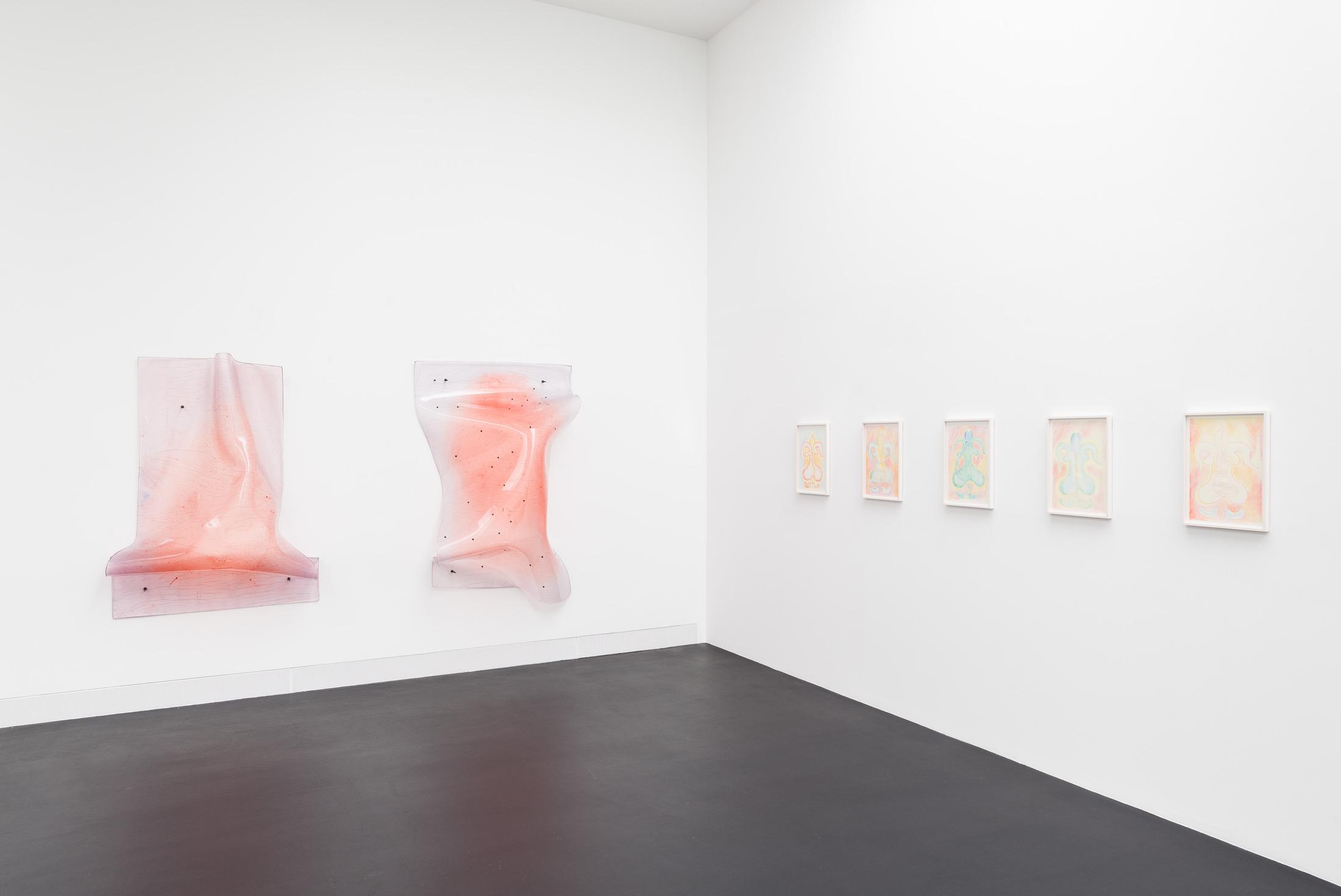 Exhibition View Florian Germann Solo Show «raised by dogs» at Galerie Gregor Staiger, Zurich, 2020 / Courtesy: the artist and Galerie Gregor Staiger