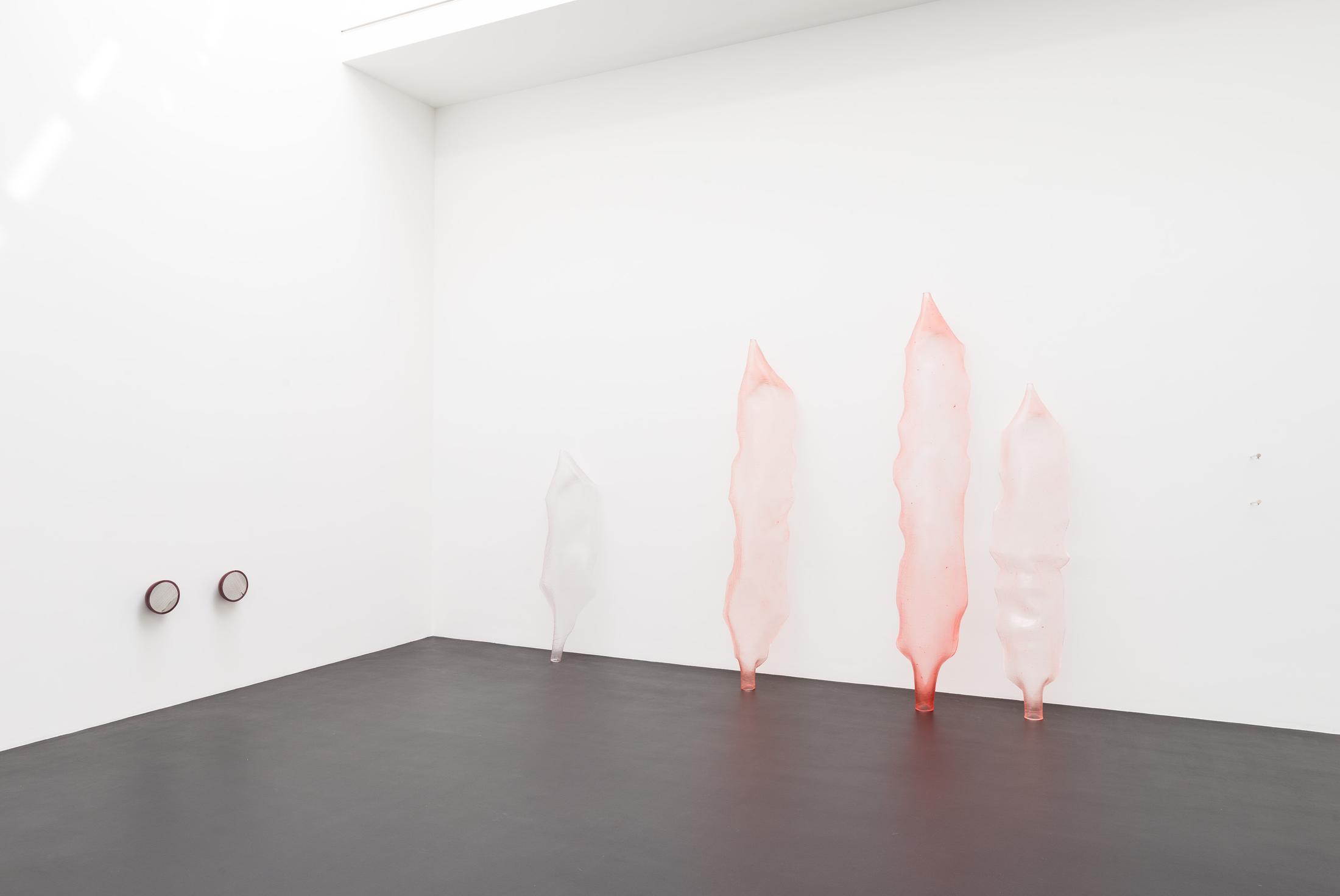 Exhibition View Florian Germann Solo Show «raised by dogs» at Galerie Gregor Staiger, Zurich, 2020 / Courtesy: the artist and Galerie Gregor Staiger