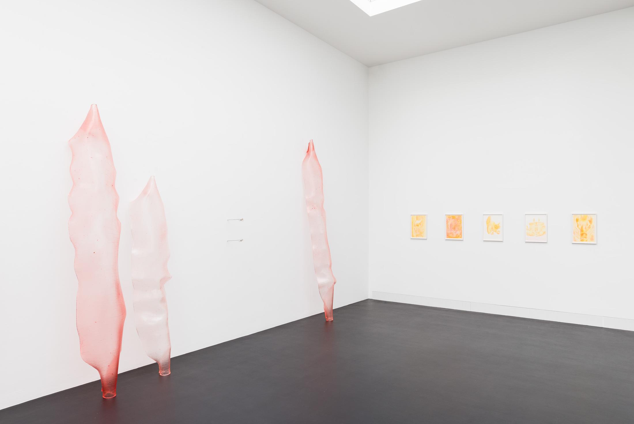 Exhibition View Florian Germann Solo Show «raised by dogs» at Galerie Gregor Staiger, Zurich, 2020 / Courtesy: the artist and Galerie Gregor Staiger