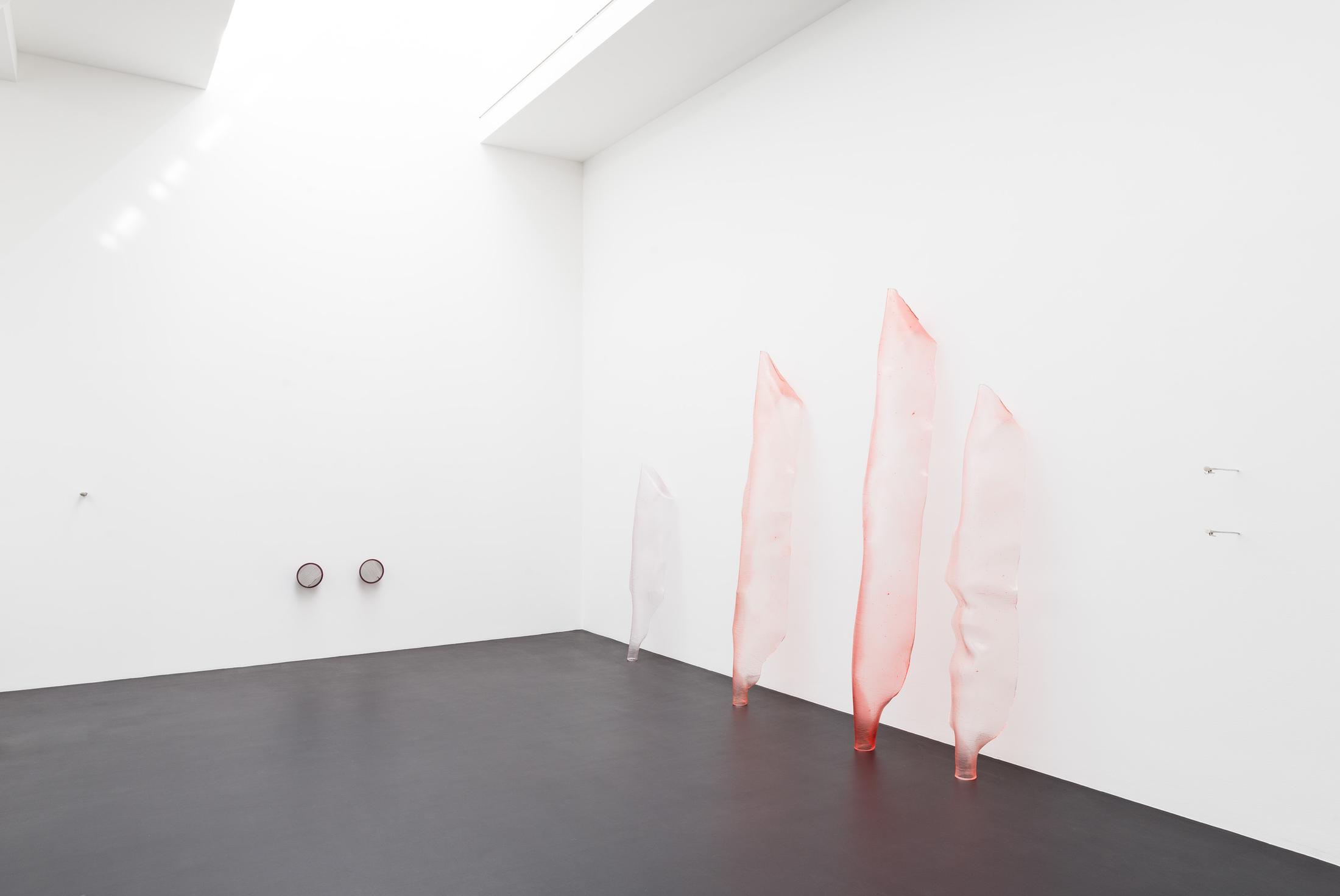 Exhibition View Florian Germann Solo Show «raised by dogs» at Galerie Gregor Staiger, Zurich, 2020 / Courtesy: the artist and Galerie Gregor Staiger