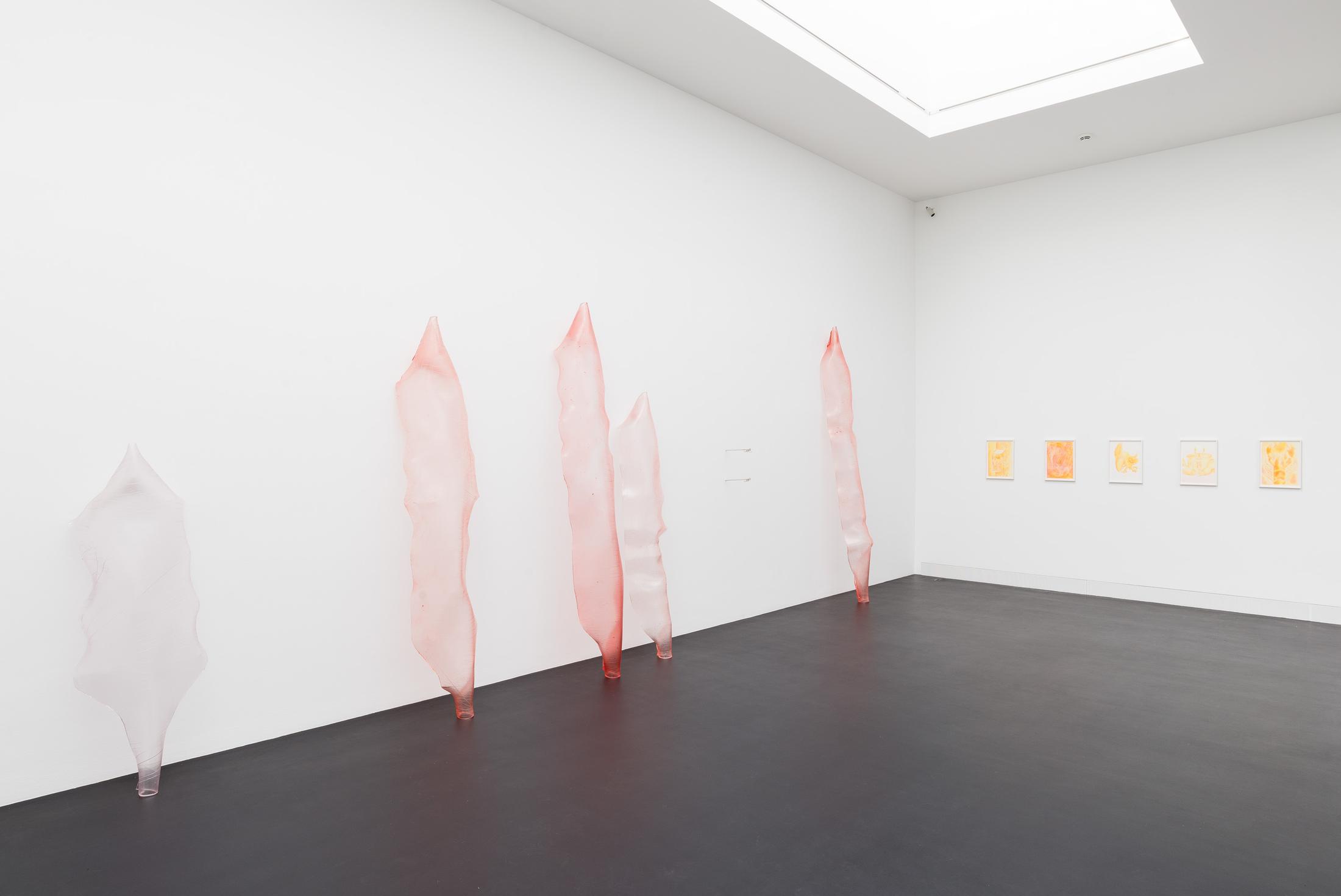 Exhibition View Florian Germann Solo Show «raised by dogs» at Galerie Gregor Staiger, Zurich, 2020 / Courtesy: the artist and Galerie Gregor Staiger