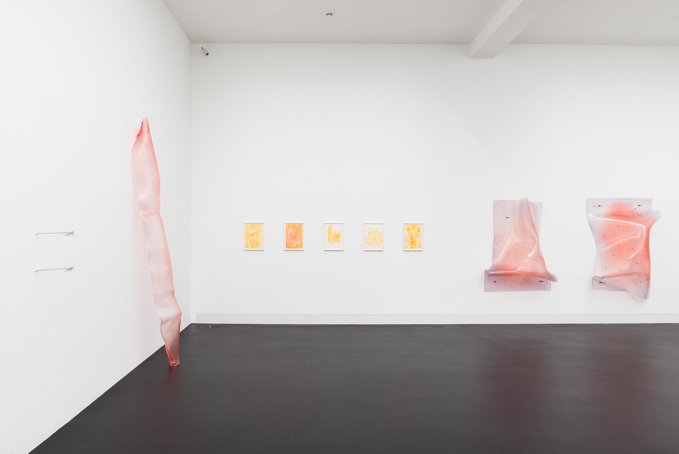 Exhibition View Florian Germann Solo Show «raised by dogs» at Galerie Gregor Staiger, Zurich, 2020 / Courtesy: the artist and Galerie Gregor Staiger