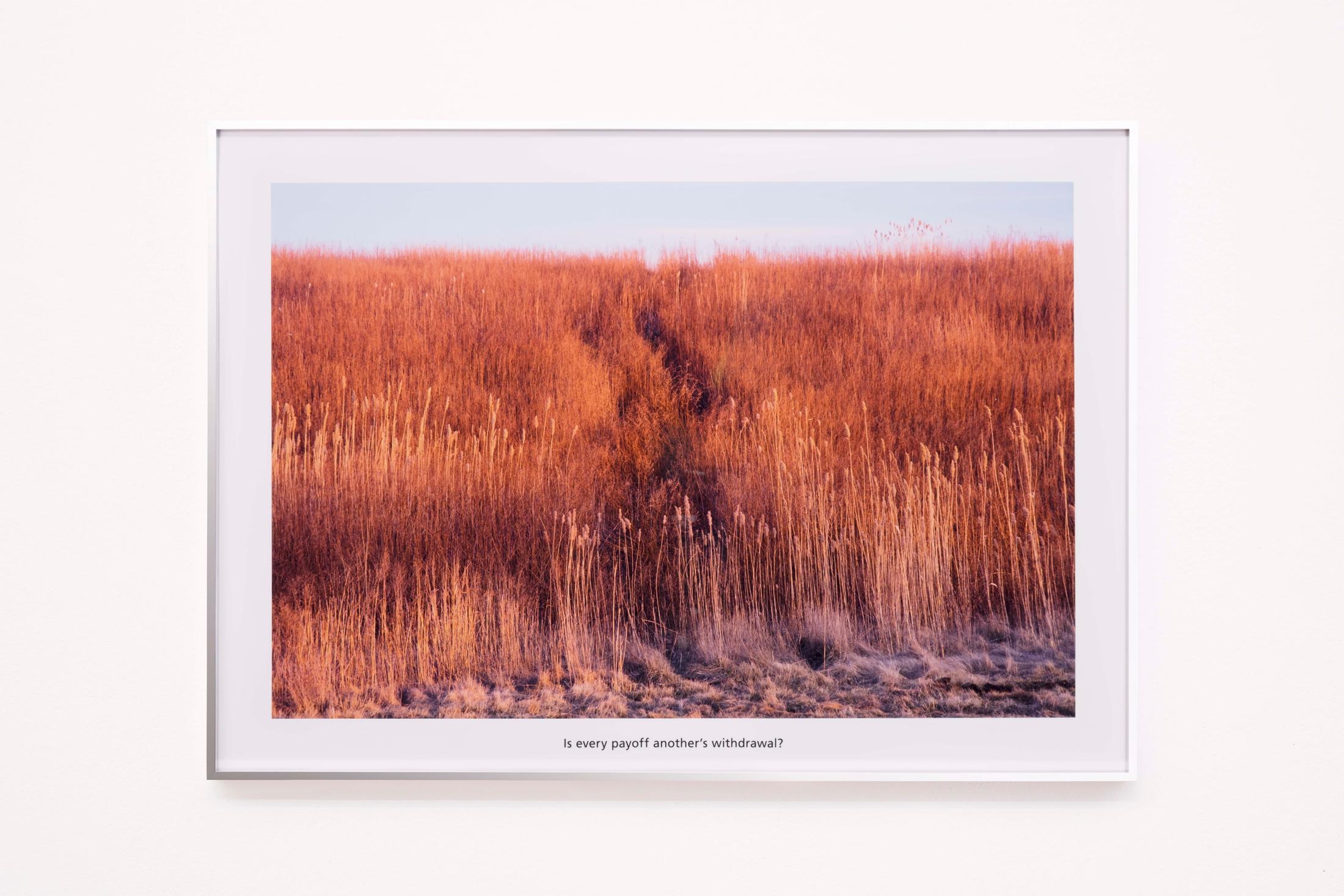 Exhibition View Groupshow «For; view on Sam Pulitzer, Off Pennsylvania Ave, C-prints, printed perspex, 59.4 x 84.1 cm, 2020» at Milieu, Bern, 2020 / Photo: Claude Barrault / Courtesy: the artist and Milieu