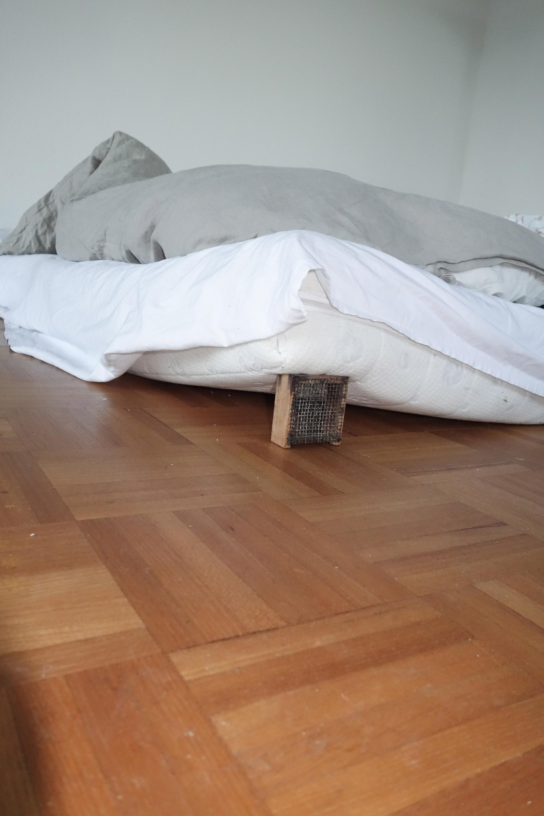 Exhibition View Group Show «four walls, shared beds; view on Anita Semadeni, Cyril Tyrone Hübscher, Matthias Holznagel, Rafael Jörger, shared bed, 2021, dimensions variable» at Im Grafenhag, Winterthur, 2021 / Photo: Antonia Truninger / Courtesy: the artists and Im Grafenhag