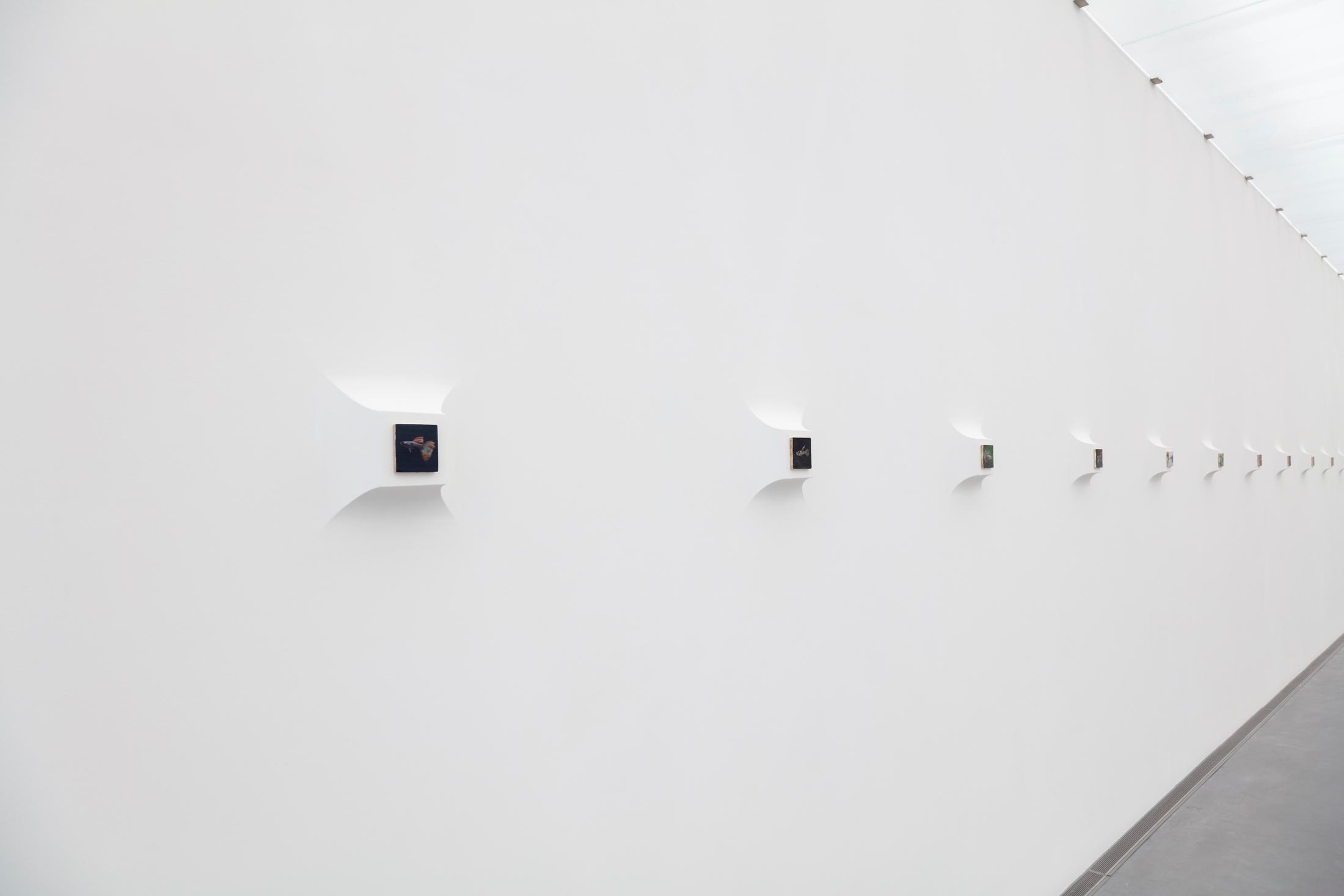 Exhibition View Francisco Sierra Solo Show «Corniche» at Kunsthalle Appenzell, Appenzell, 2023 / Photo: Urs Baumann / Courtesy: the artist and von Bartha