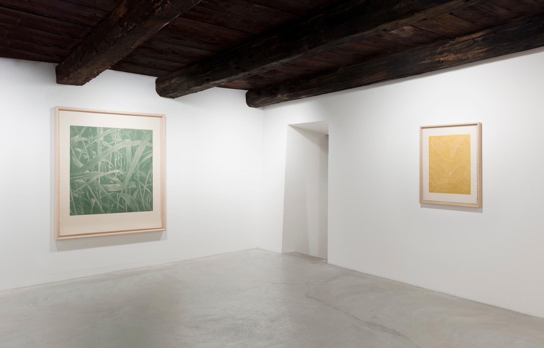 Installation View Franz Gertsch at Galleria Monica De Cardenas, Zuoz / Courtesy: the artists and the gallery / Photo: Andrea Rossetti