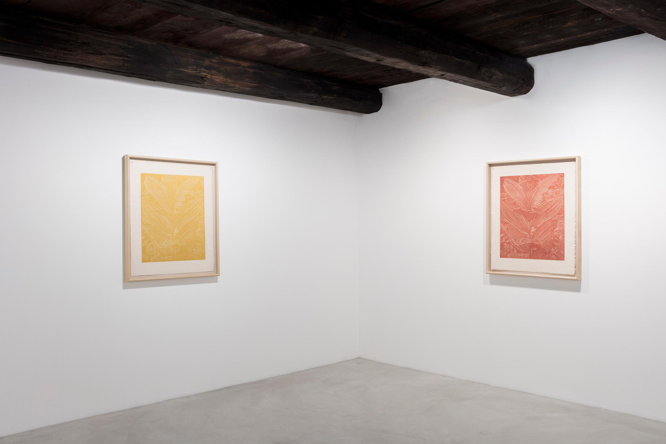 Installation View Franz Gertsch at Galleria Monica De Cardenas, Zuoz / Courtesy: the artists and the gallery / Photo: Andrea Rossetti