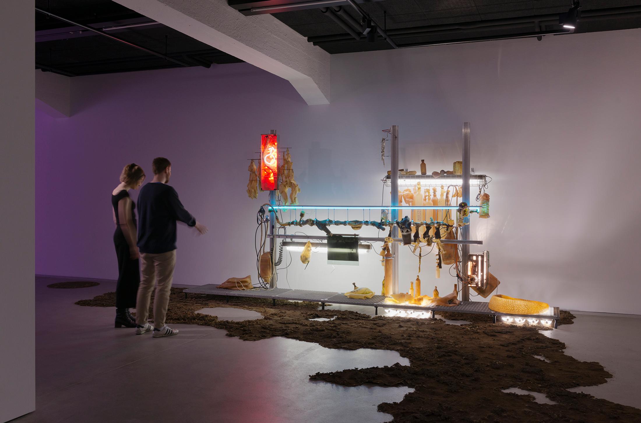 Installation View Chloé Delarue "TAFAA – HIVE, 2018" at HEK Basel / Photo: Franz Wamhof / Courtesy: the artists