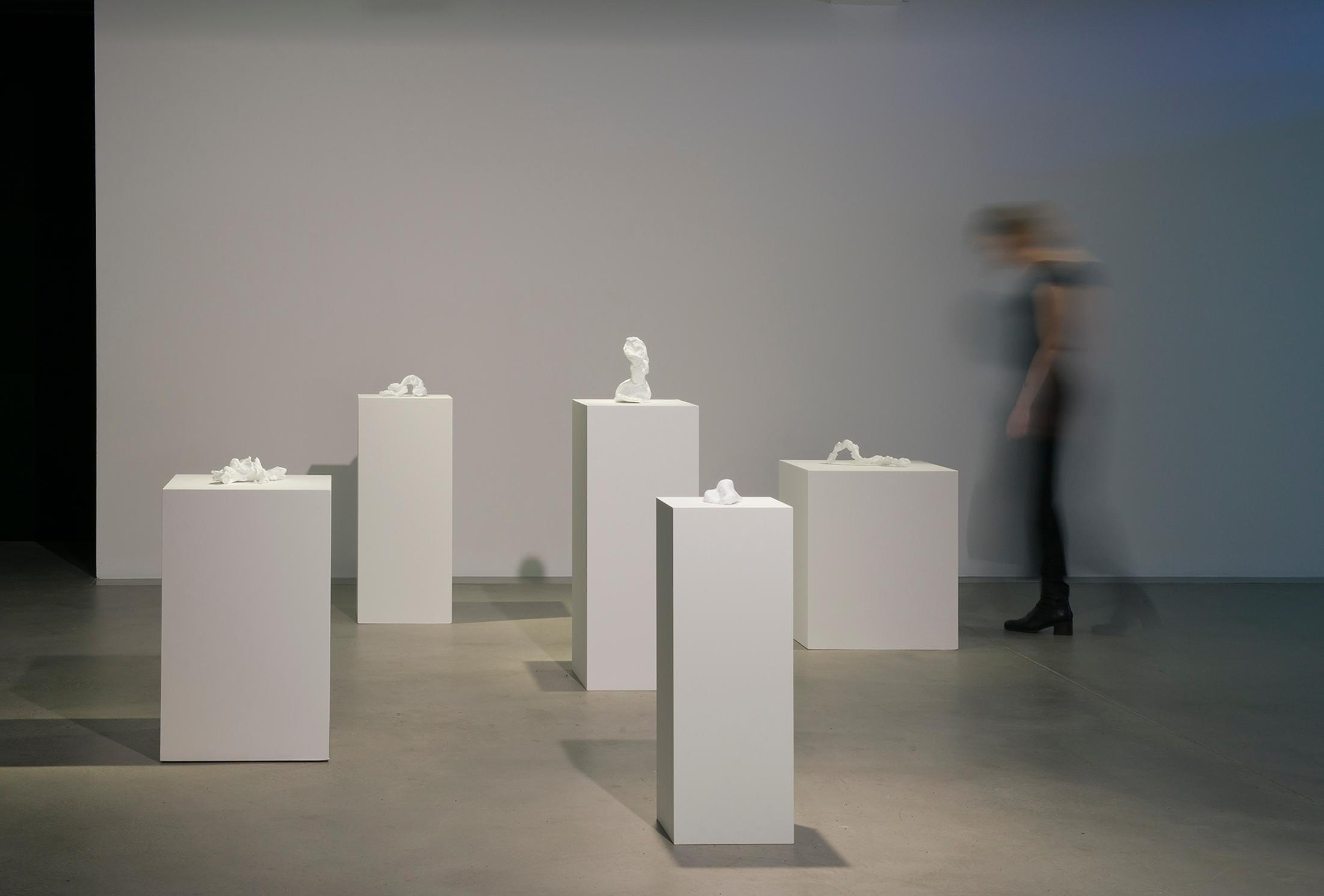 Installation View Una Szeemann "Composition of a Counterpart, 2018" at HEK, Basel / Photo: Franz Wamhof / Courtesy: the artist