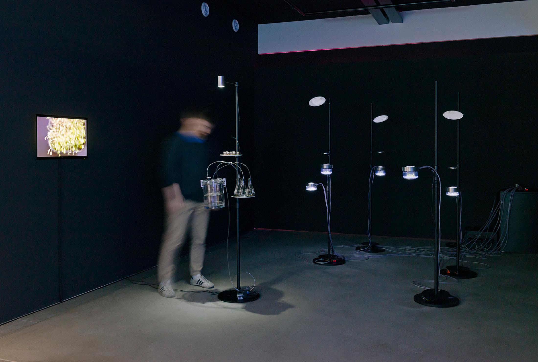 Installation View Chloé Delarue "TAFAA – HIVE, 2018" at HEK Basel / Photo: Franz Wamhof / Courtesy: the artists