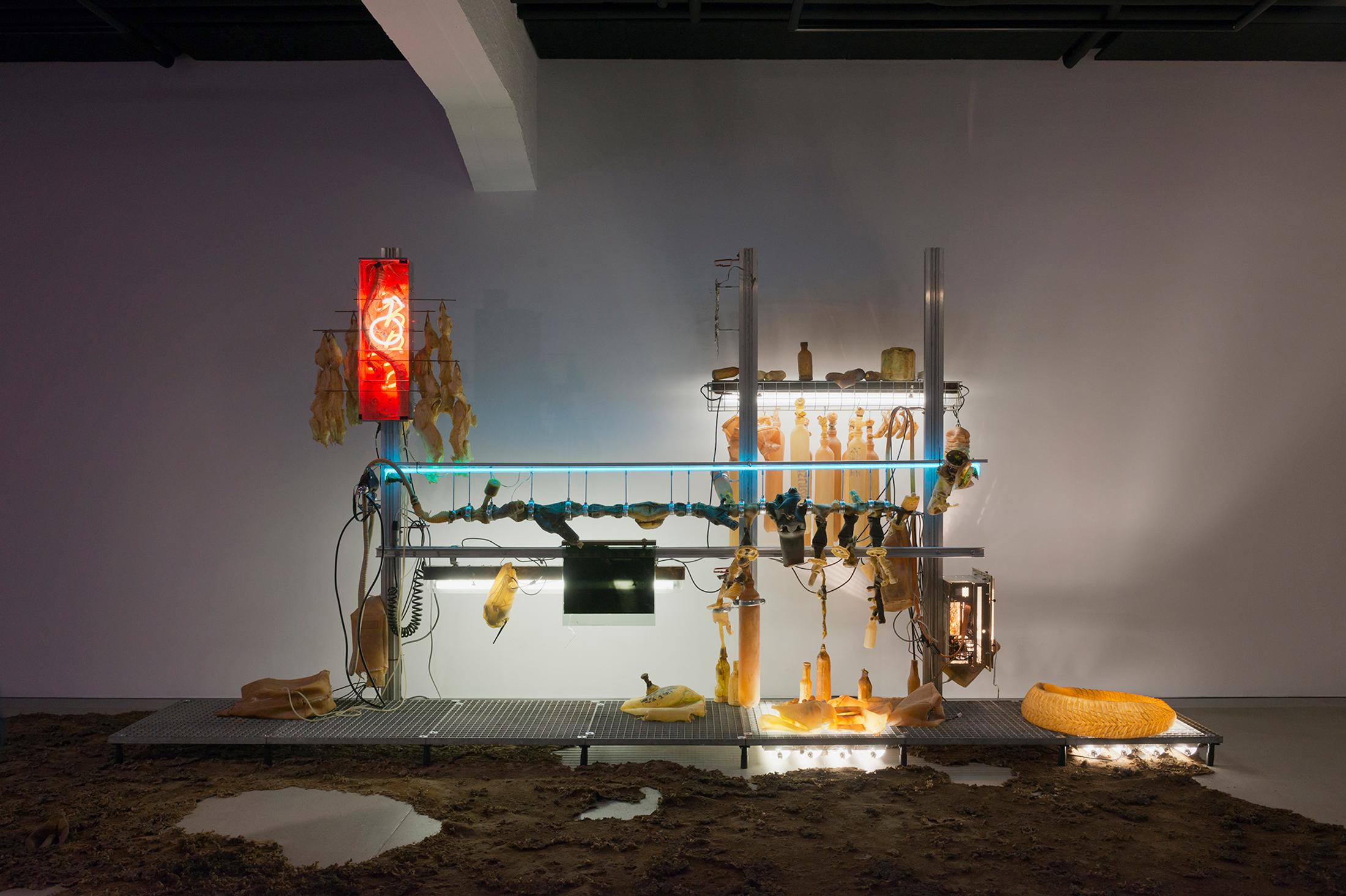 Installation View Chloé Delarue "TAFAA – HIVE, 2018" at HEK, Basel / Photo: Franz Wamhof / Courtesy: the artists