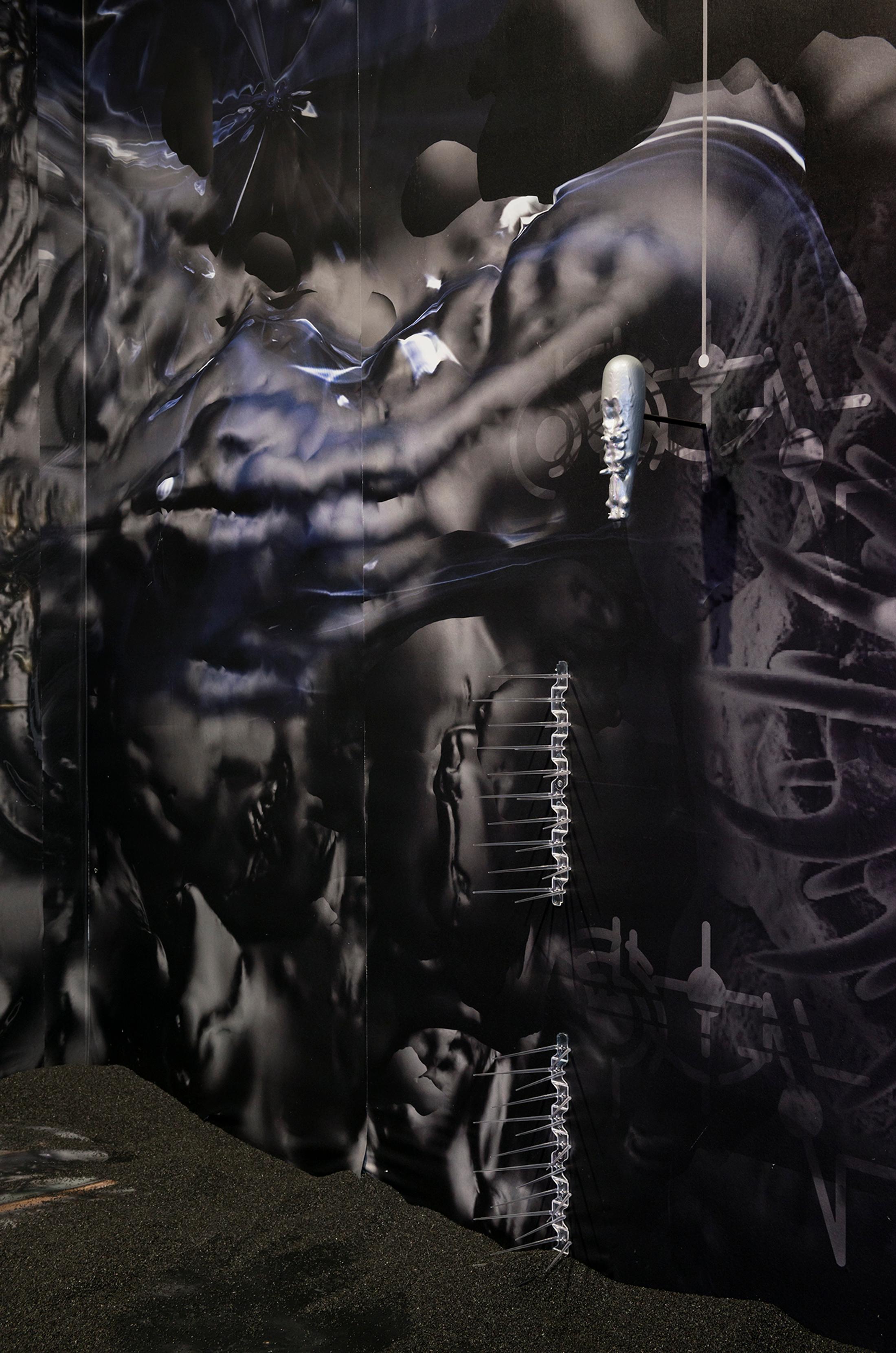 Installation View Joey Holder "The Evolution of the Spermalege, 2018" at HEK, Basel / Photo: Franz Wamhof / Courtesy: the artists