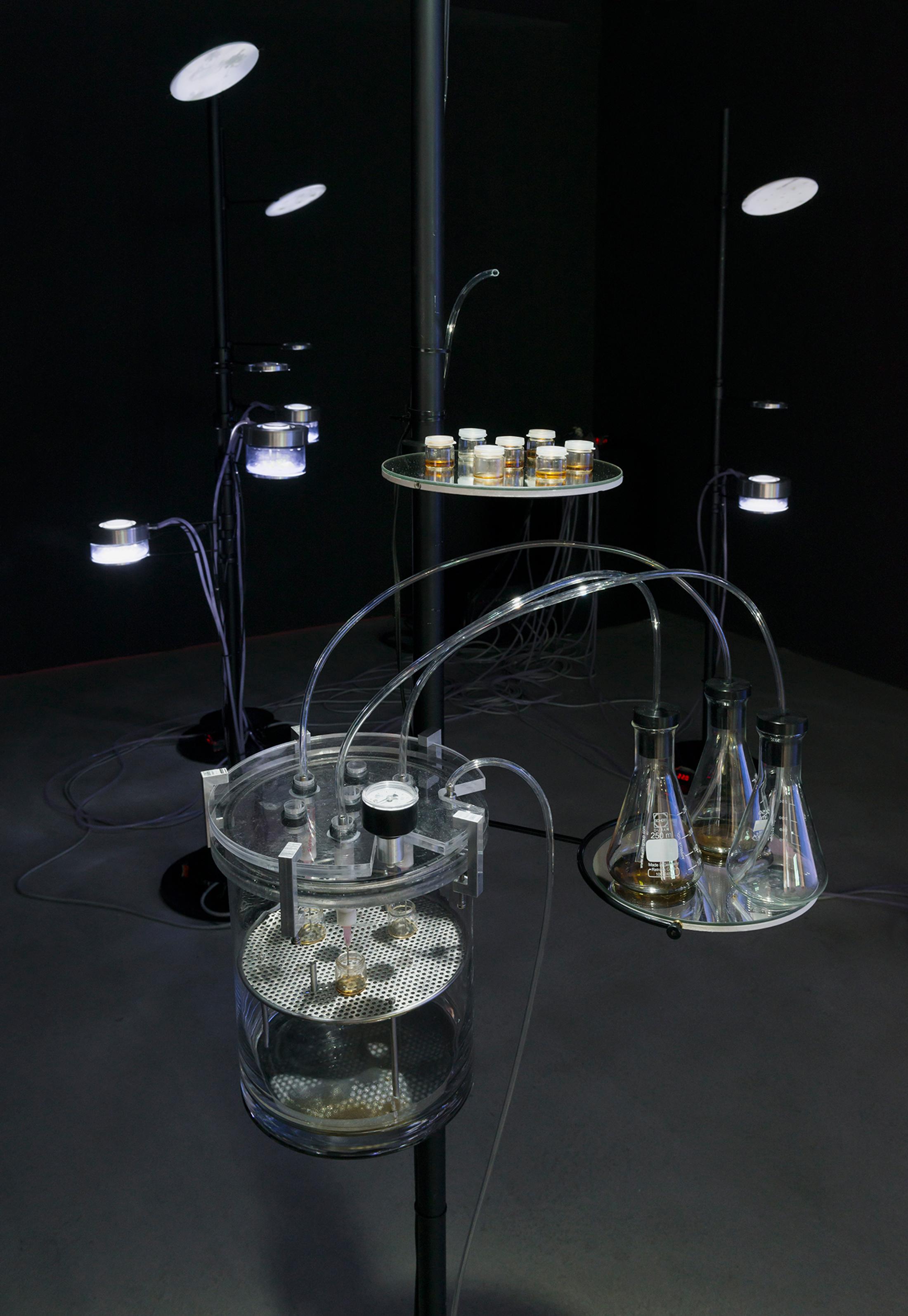 Installation View Špela Petrič "Phytoteratology, 2016" at HEK, Basel / Photo: Franz Wamhof / Courtesy: the artists