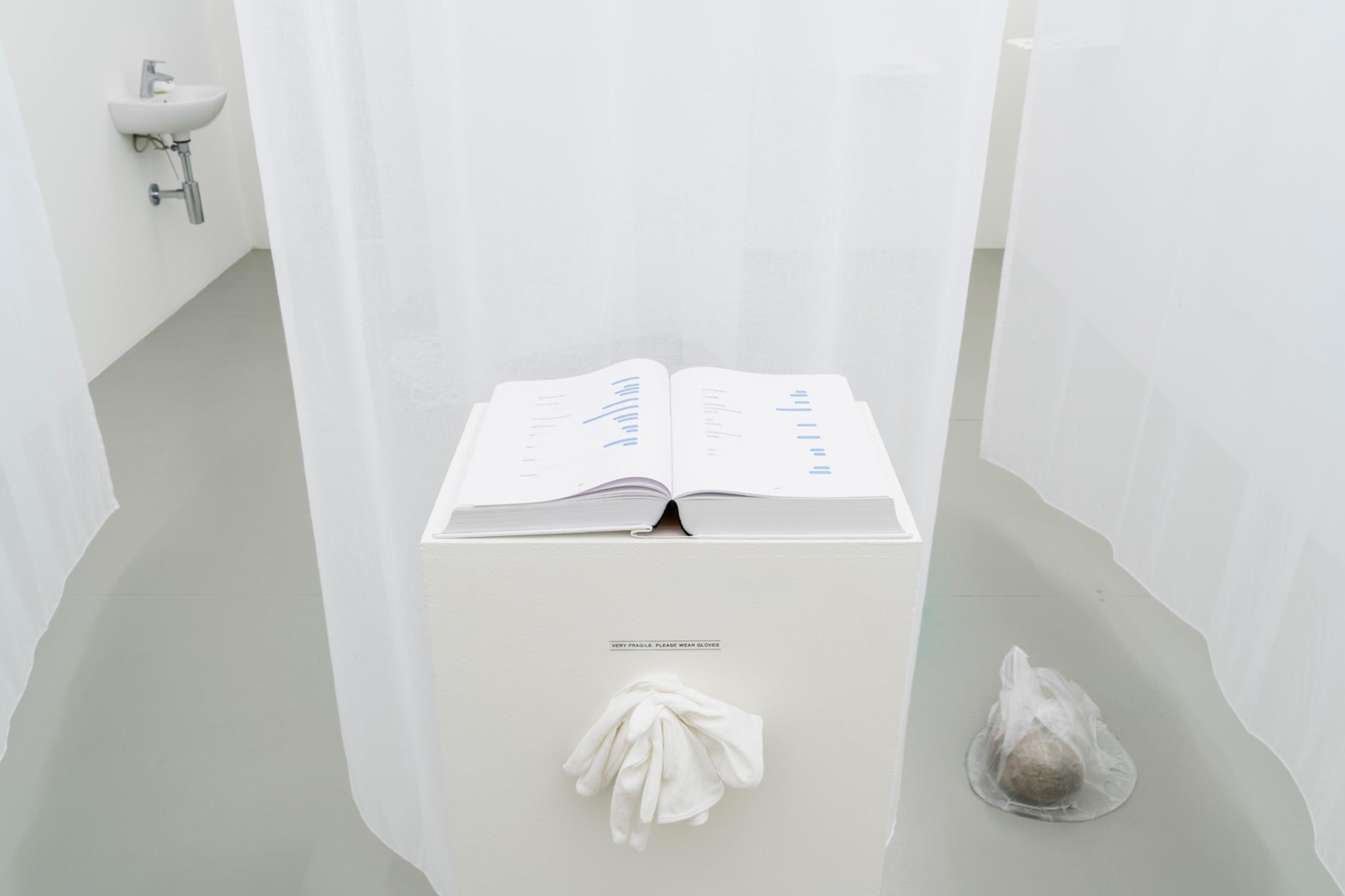 Exhibition View Group Show «Game of Goose» at City SALTS, Birsfelden, Basel, 2020 / Photo: Gunnar Meier / Courtesy: the artists and SALTS