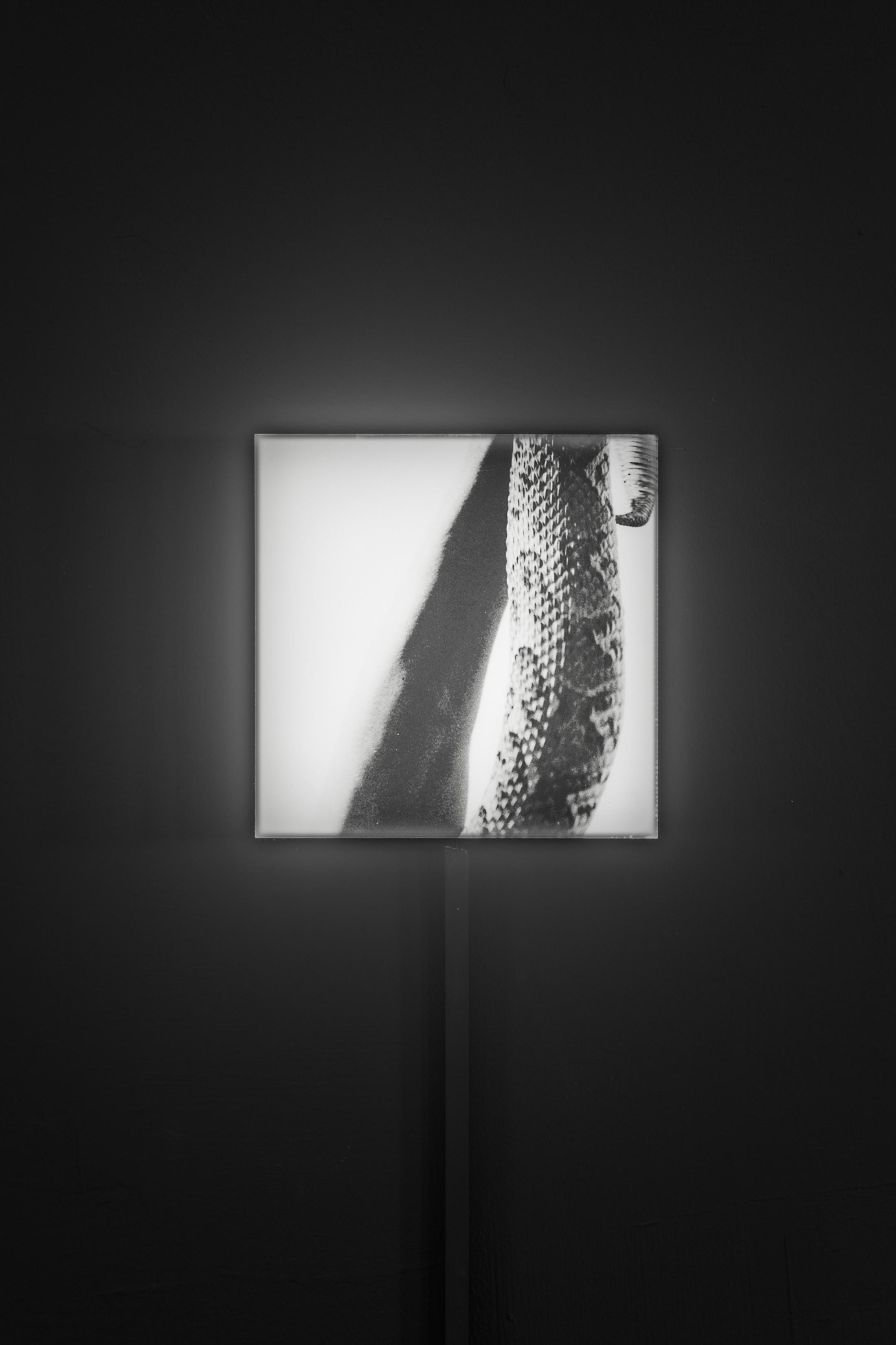 Exhibition View Group Show «Gazed and Confused; view on Ursula Sulser, Mittelholzer’s Doppelgänger, 2018/21» at Last Tango, Zurich, 2022 / Photo: Kilian Bannwart / Courtesy: Walter Mittelholzer, ETH Library, Image Archive