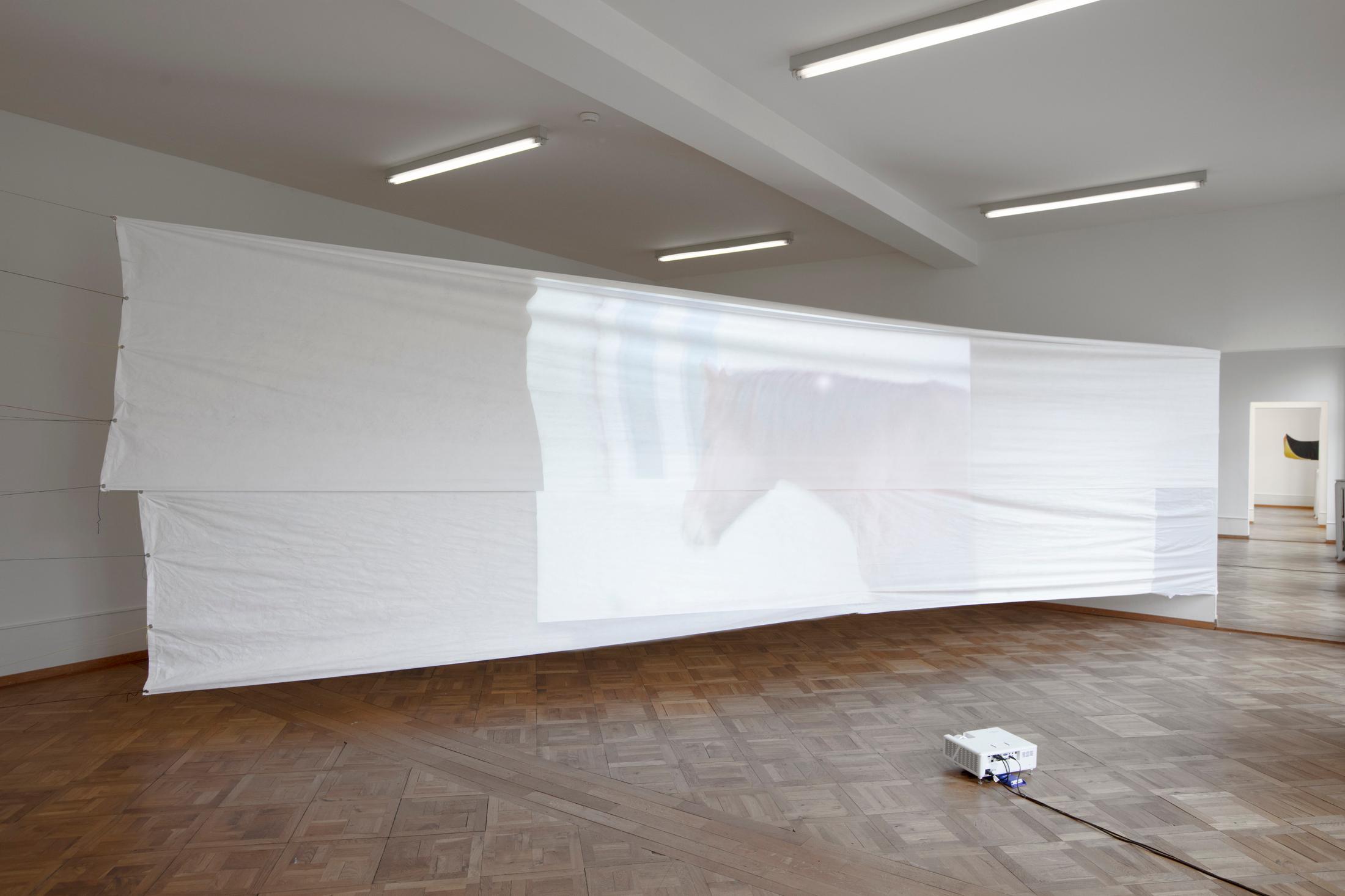 Exhibition View Gil Pellaton Solo Show «Hennissements; view on Gil Pellaton, Nobel? Merlin?, 2022» at Centre d'art Pasquart, Biel/Bienne, 2022 / Photo: Guadalupe Ruiz / Courtesy: the artist and Centre d'art Pasquart