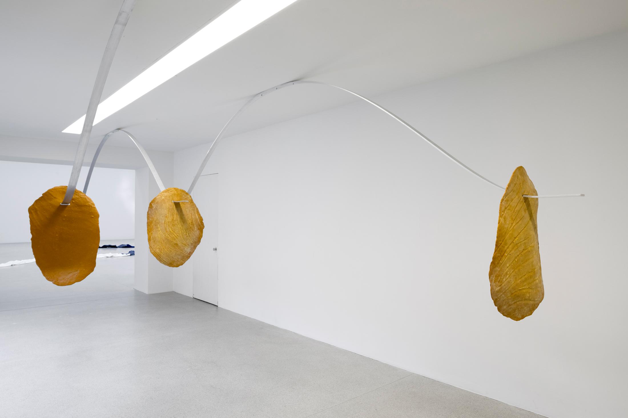 Exhibition View Gil Pellaton Solo Show «Hennissements; view on Gil Pellaton, Faces of Nature, 2021» at Centre d'art Pasquart, Biel/Bienne, 2022 / Photo: Guadalupe Ruiz / Courtesy: the artist and Centre d'art Pasquart