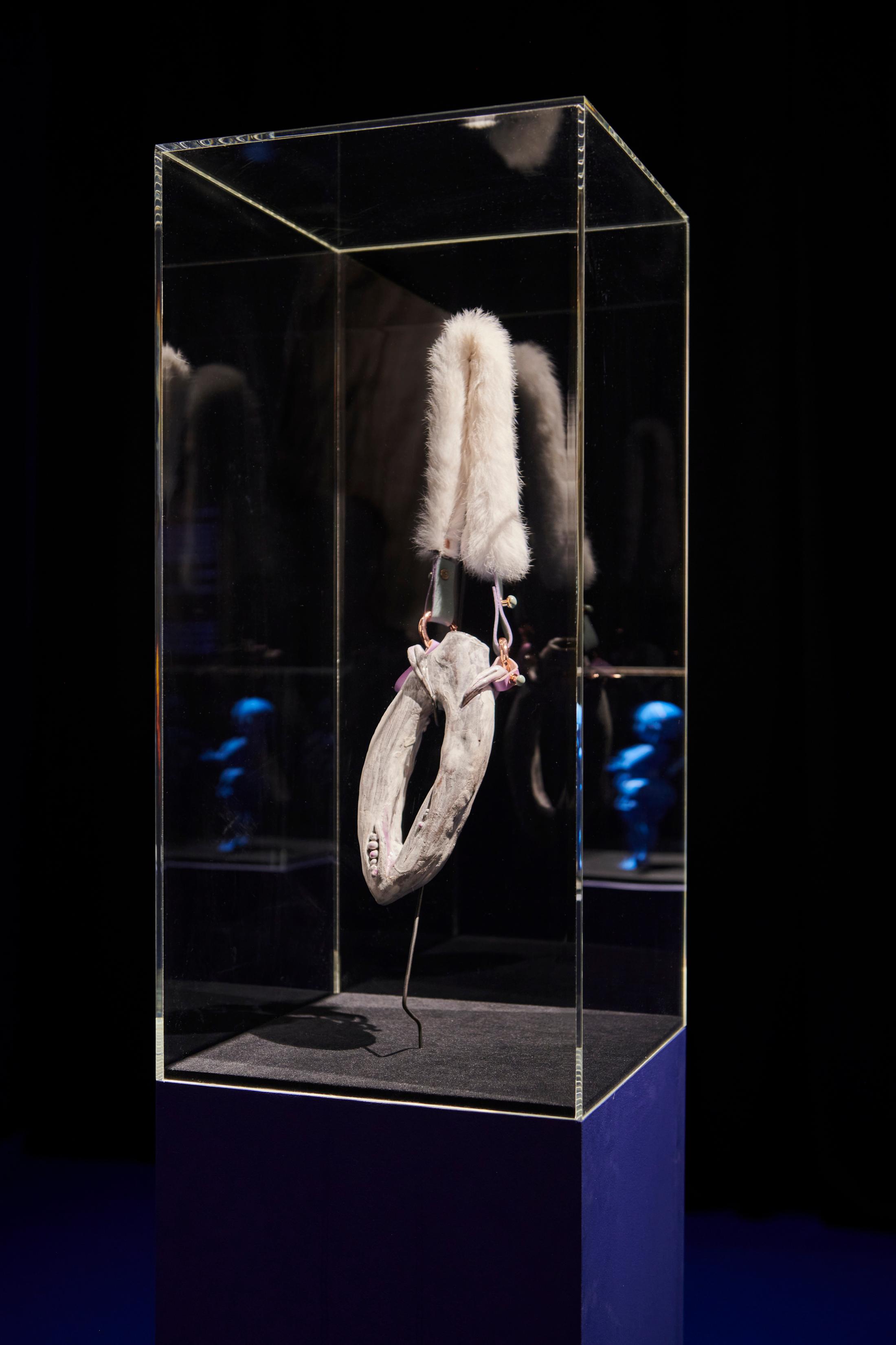 Exhibition View Giulia Essyad Solo Show «A Selene Blues; view on Giulia Essyad, GOURD, 2020» at Fri Art, Fribourg, 2020 / Photo: Guillaume Python / Courtesy: the artist and Fri Art Kunsthalle