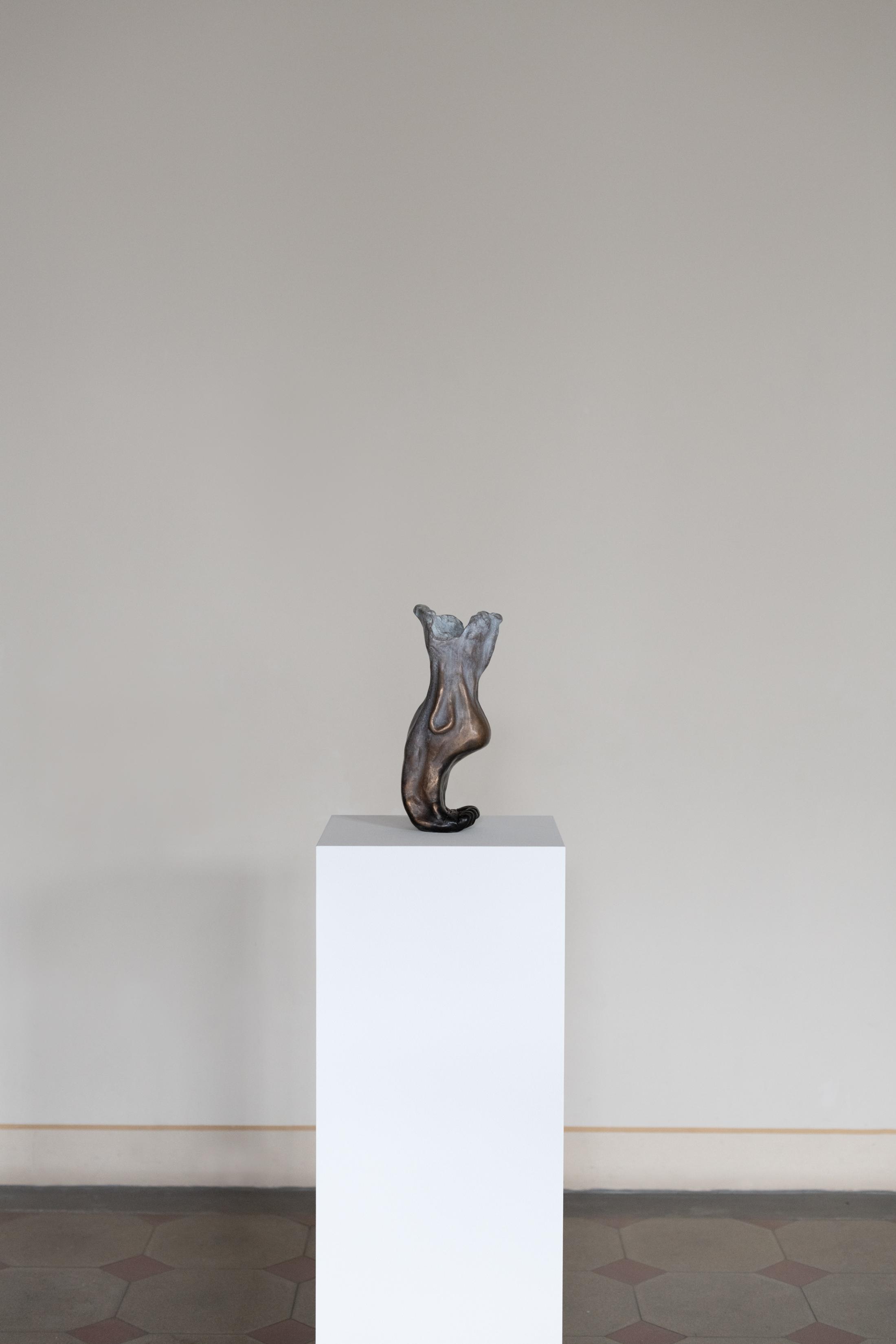 Exhibition View Grace Schwindt Solo Show «Defiant Bodies; view on Grace Schwindt, Becoming a Fossil, 2021» at Kunstmuseum St. Gallen, St. Gallen, 2022-2023 / Photo: Sebastian Stadler / Courtesy: the artist and Zeno X Gallery, Antwerp