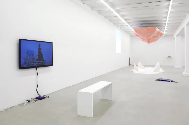 Exhibition View Groupshow «Grandfather's Axe» at Austellungsraum Klingental, Basel, 2020 / Courtesy: the artists and Ausstellungsraum Klingental