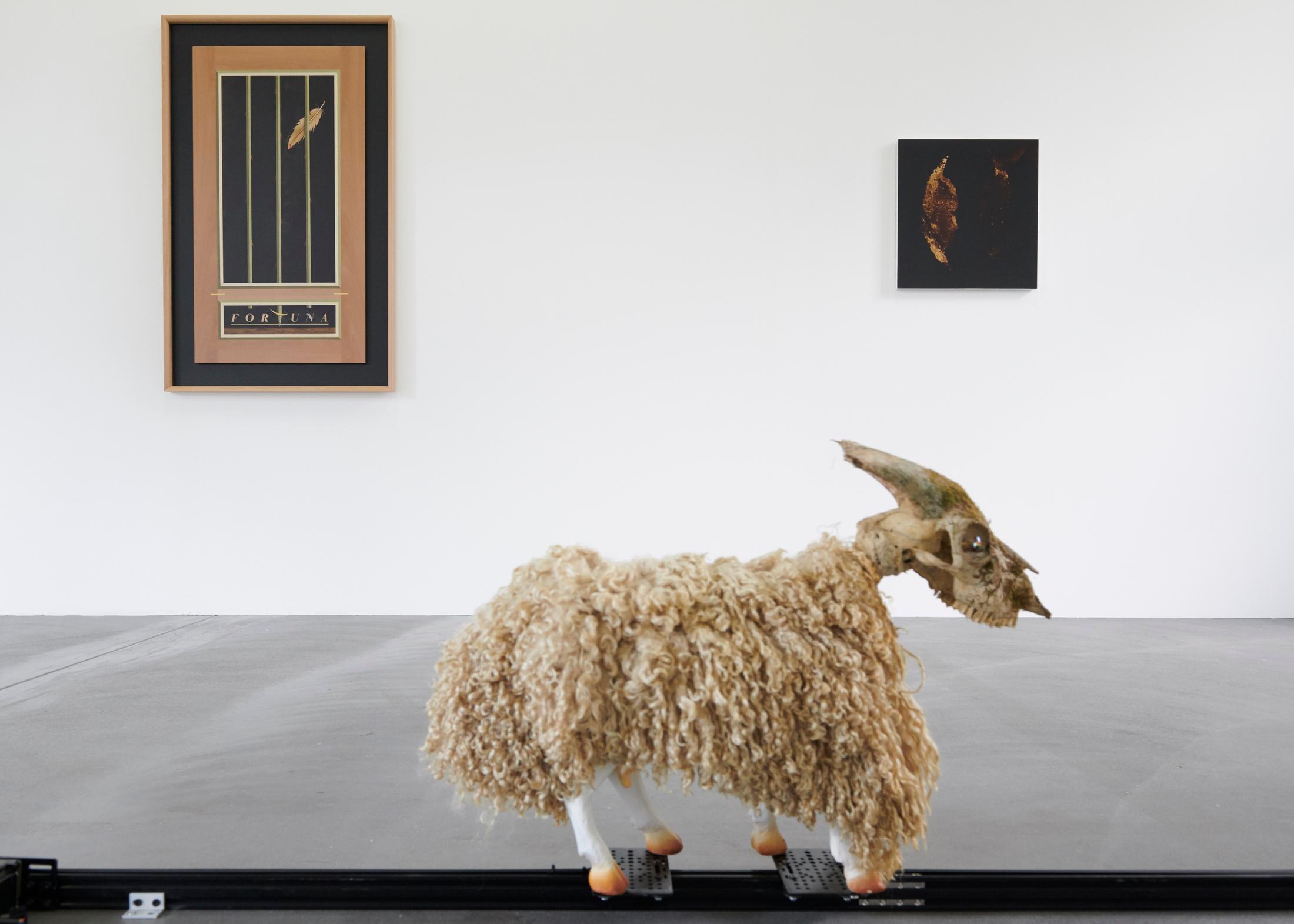 Exhibition View Groupshow «A House is not a Home» at Fri Art, Fribourg, 2019 / Courtesy: the artists and Fri Art