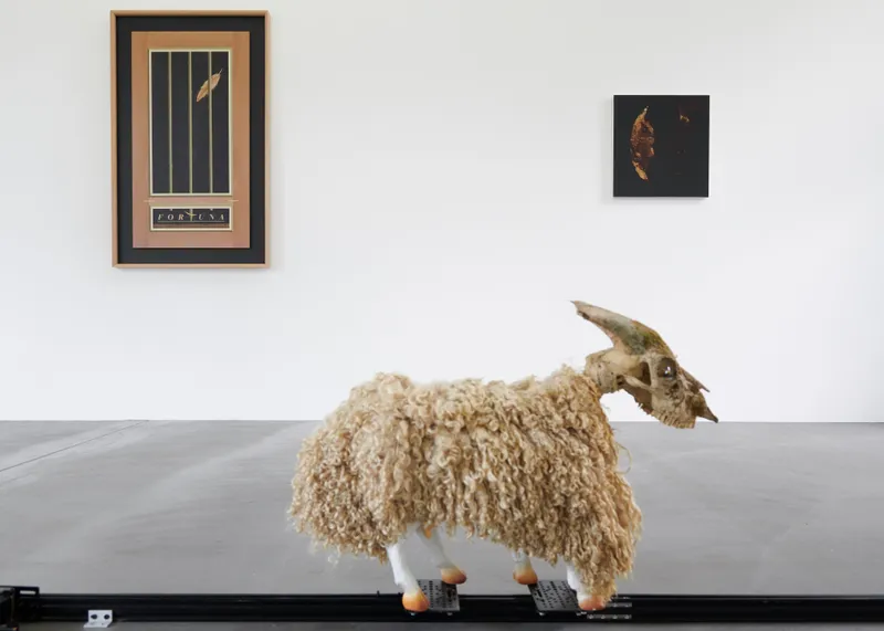 Exhibition View Groupshow «A House is not a Home» at Fri Art, Fribourg, 2019 / Courtesy: the artists and Fri Art