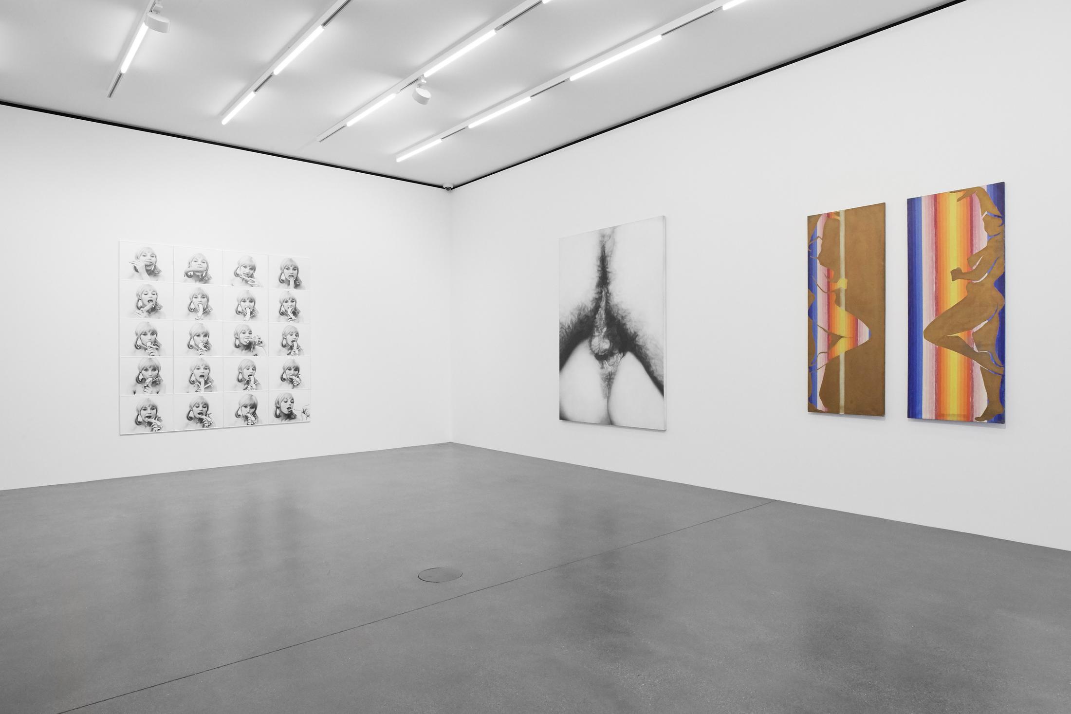 Exhibition View Groupshow «A Women Looking at Men Looking at Women ; view on Natalia LL (Natalia Lach-Lachowicz), Betty Tompkins, Evelyne Axell» at Muzeum Susch / Photo: Zosia Prominska / Courtesy Muzeum Susch