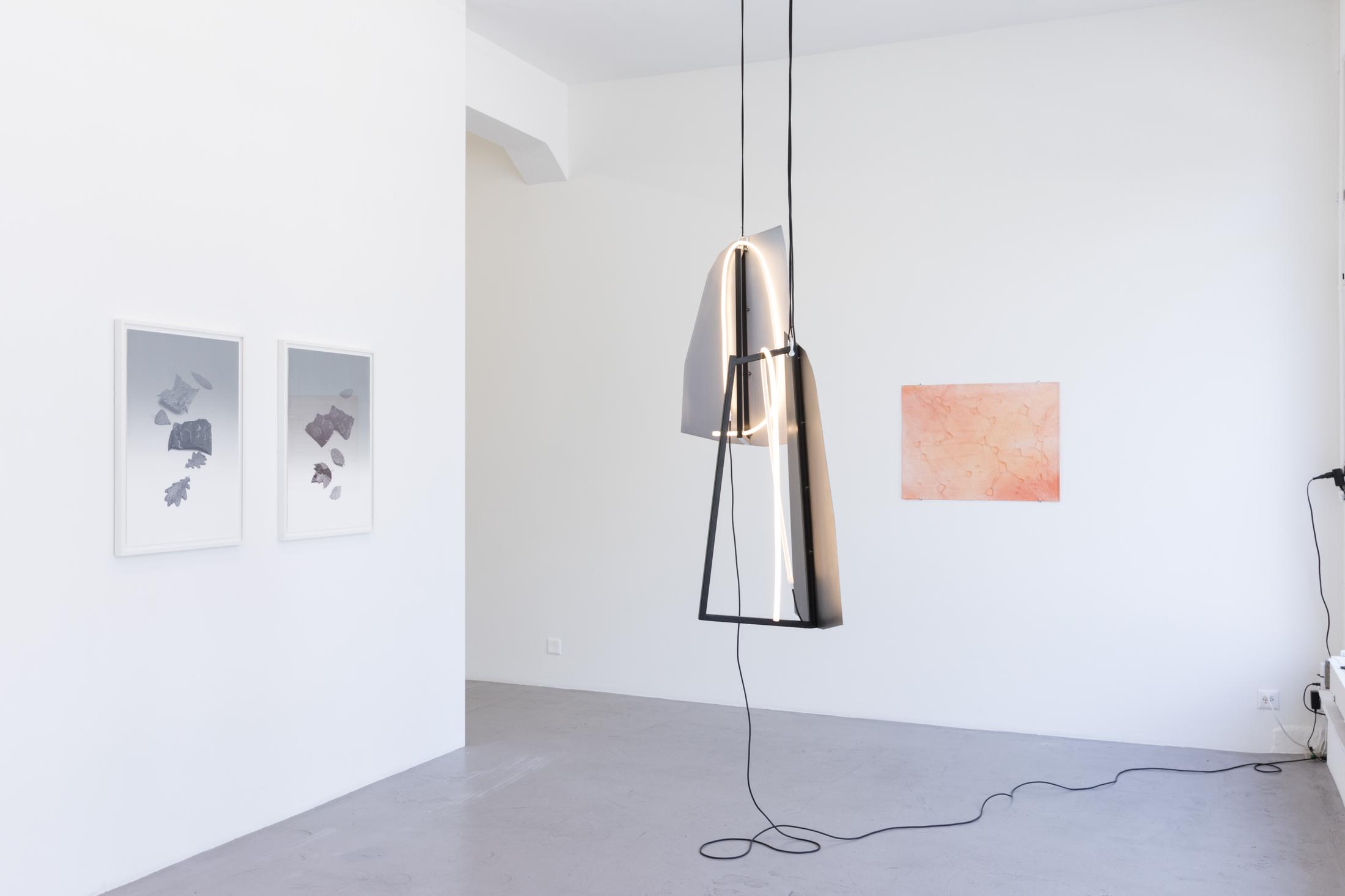Exhibition View Groupshow «Il Grande Female» at Bolte Lang, Zurich, 2019 / Courtesy: the artist and Bolte Lang