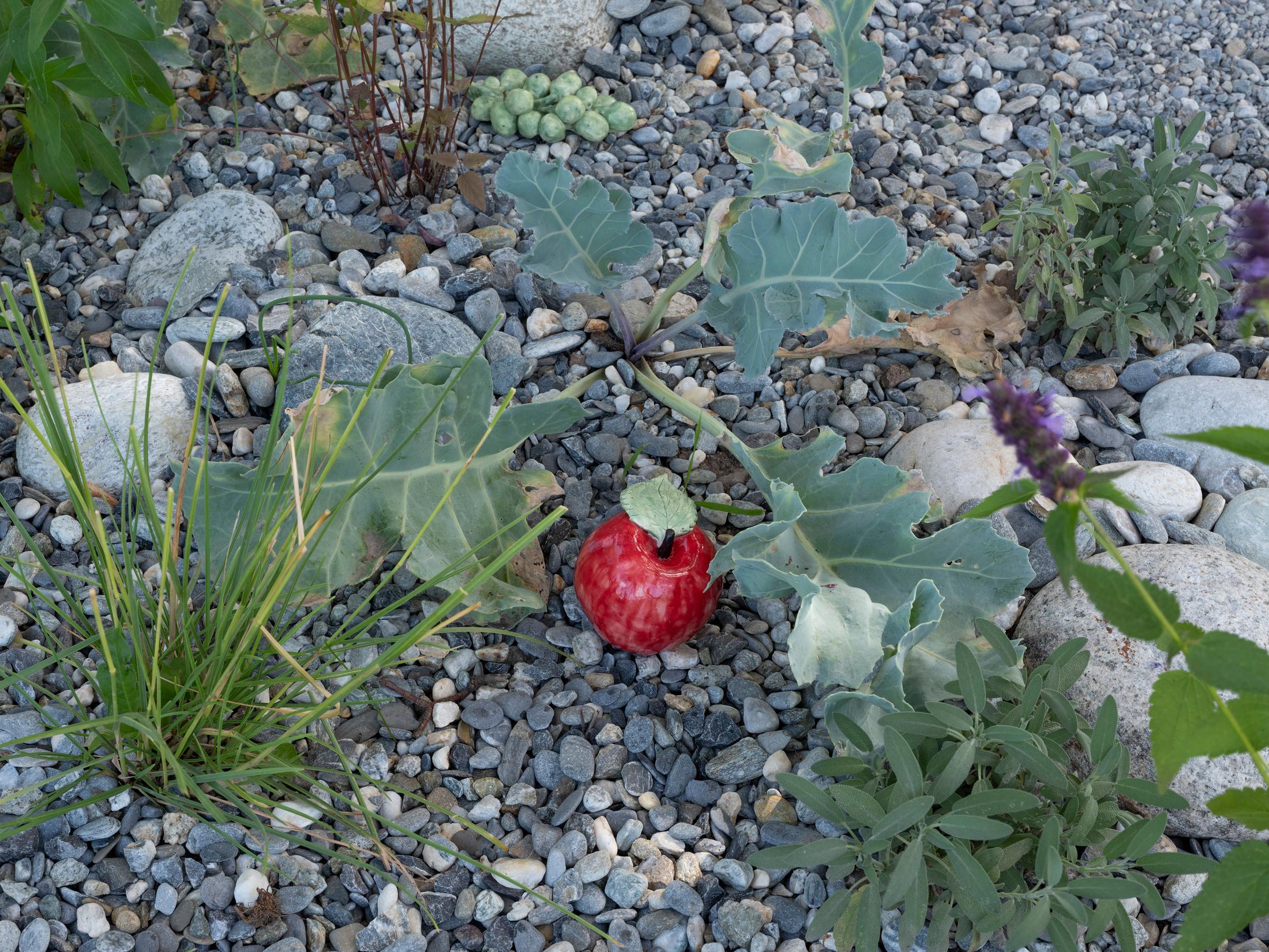 Exhibition View Groupshow «Modern Nature – an hommage to Derek Jarman; view on Julie Monot, Invoke to Evoke (2019)» at La Becque, La Tour-de-Peilz, 2019 / Photo: © Diana Martin / Courtesy: the artist and La Becque
