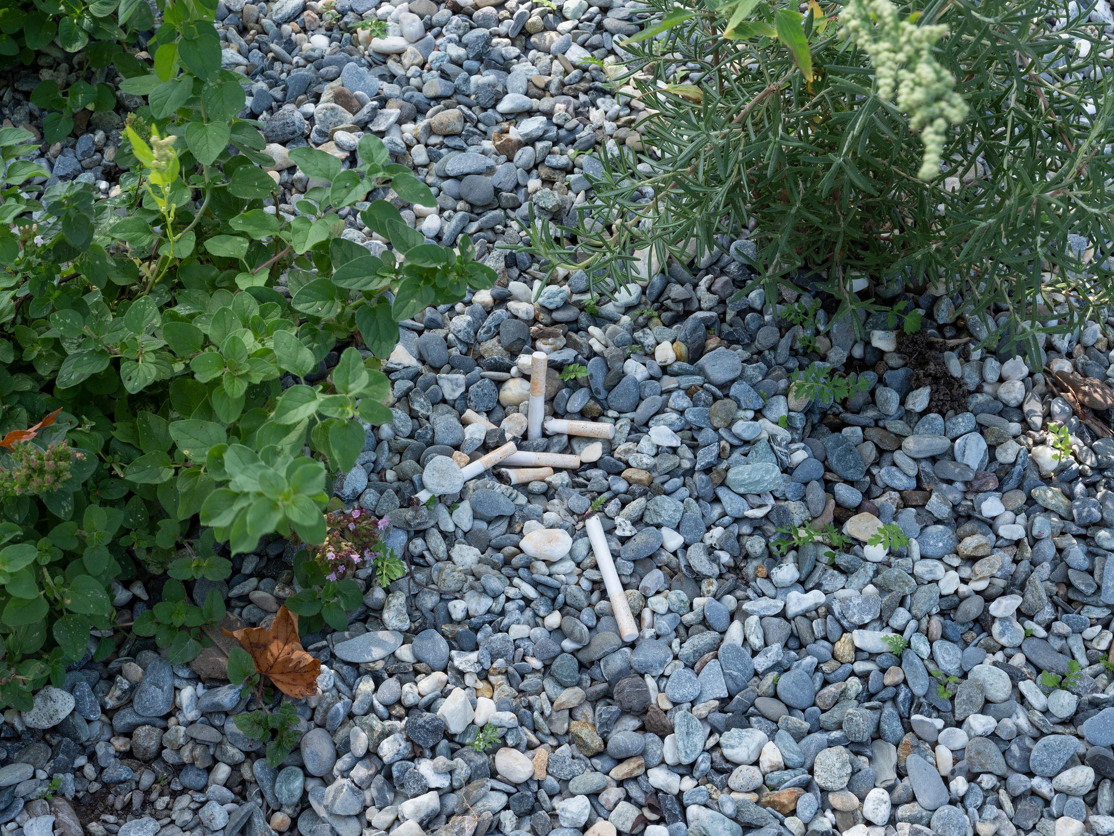 Exhibition View Groupshow «Modern Nature – an hommage to Derek Jarman; view on Julie Monot, Invoke to Evoke (2019)» at La Becque, La Tour-de-Peilz, 2019 / Photo: © Diana Martin / Courtesy: the artist and La Becque