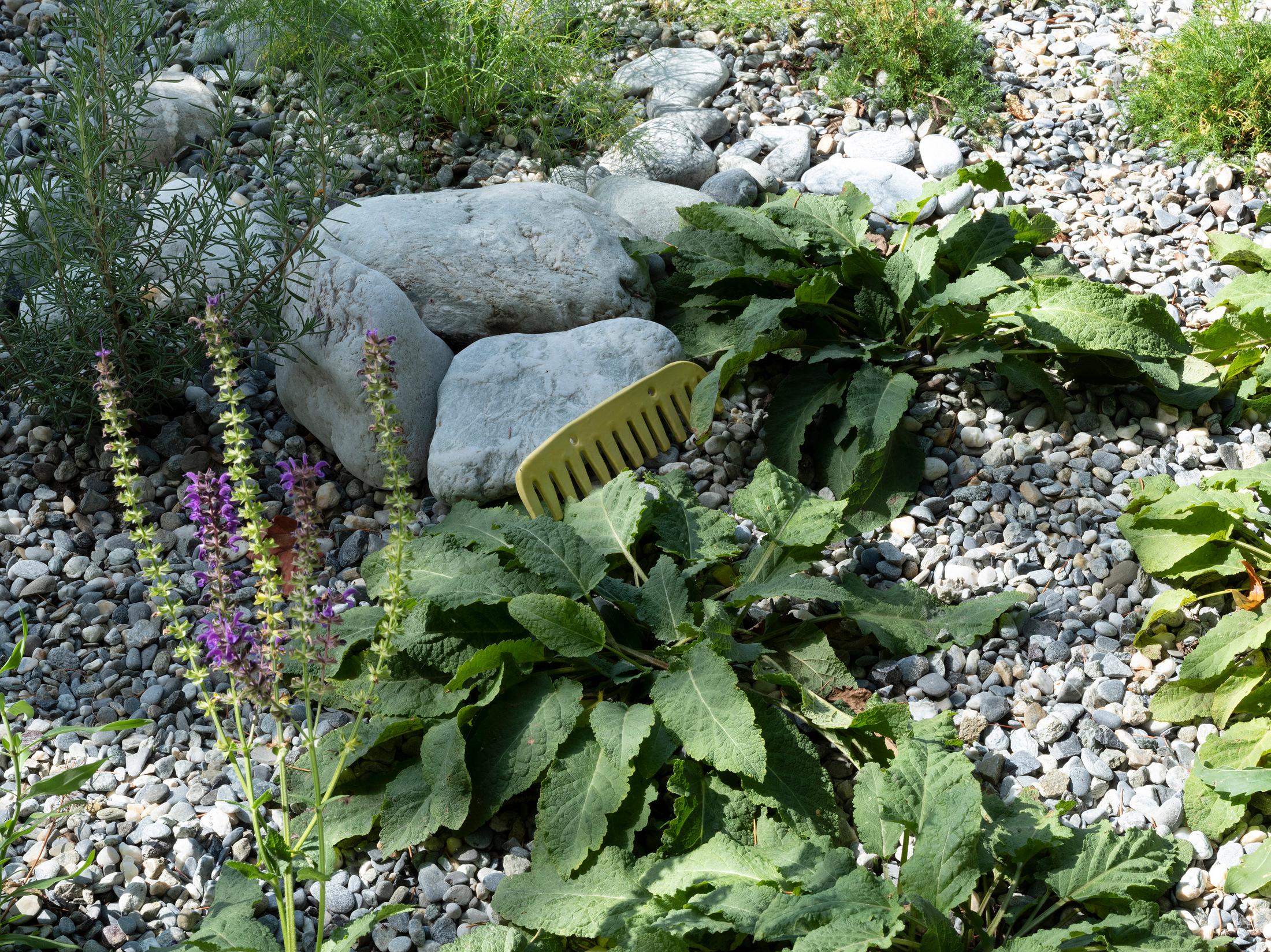 Exhibition View Groupshow «Modern Nature – an hommage to Derek Jarman; view on Julie Monot, Invoke to Evoke (2019)» at La Becque, La Tour-de-Peilz, 2019 / Photo: © Diana Martin / Courtesy: the artist and La Becque