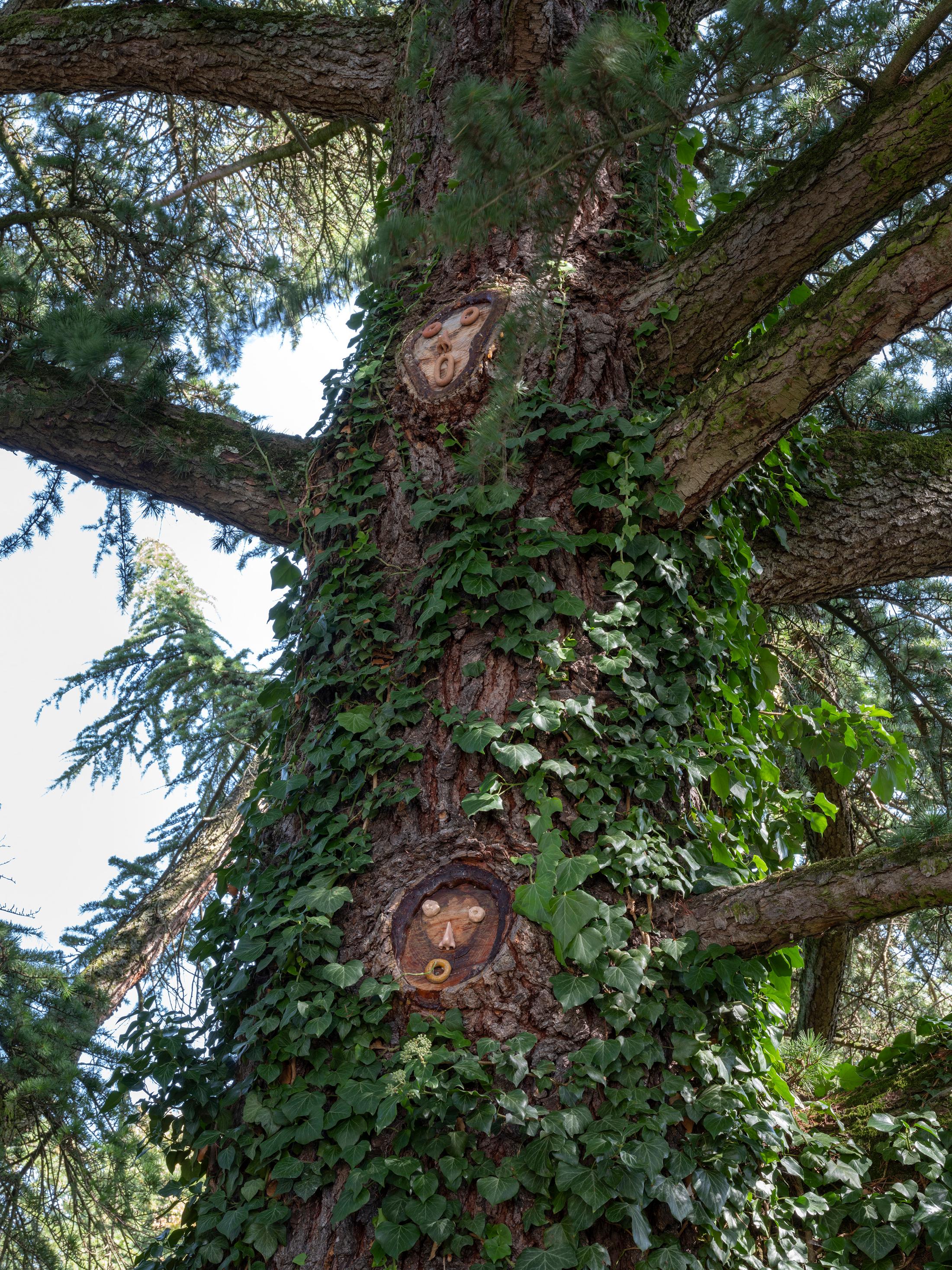 Exhibition View Groupshow «Modern Nature – an hommage to Derek Jarman; view on Adrien Chevalley, Untitled (2019)» at La Becque, La Tour-de-Peilz, 2019 / Photo: © Julien Gremaud / Courtesy: the artist and La Becque