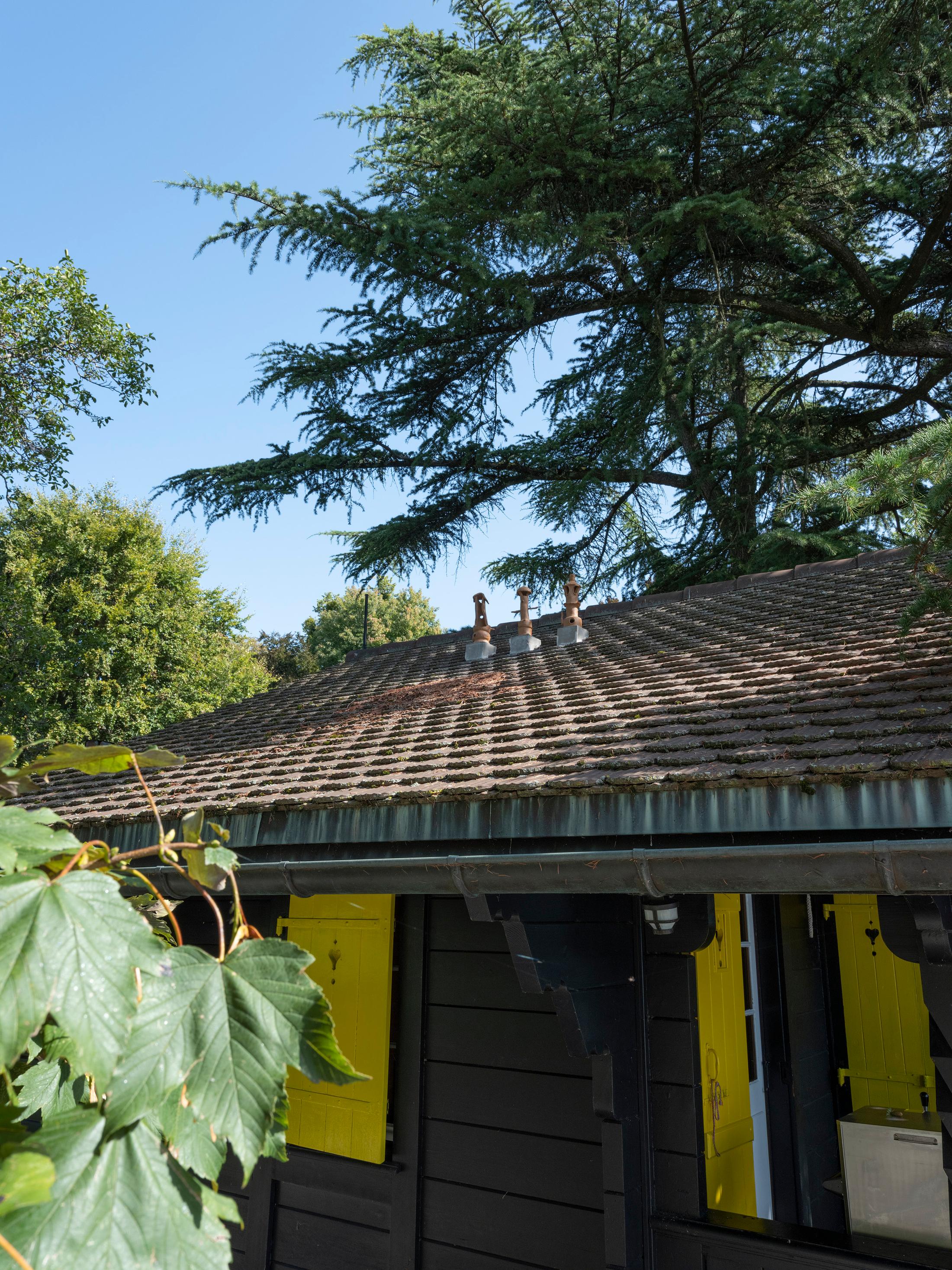Exhibition View Groupshow «Modern Nature – an hommage to Derek Jarman; view on Adrien Chevalley, Chapeaux  (2019)» at La Becque, La Tour-de-Peilz, 2019 / Photo: © Julien Gremaud / Courtesy: the artist and La Becque