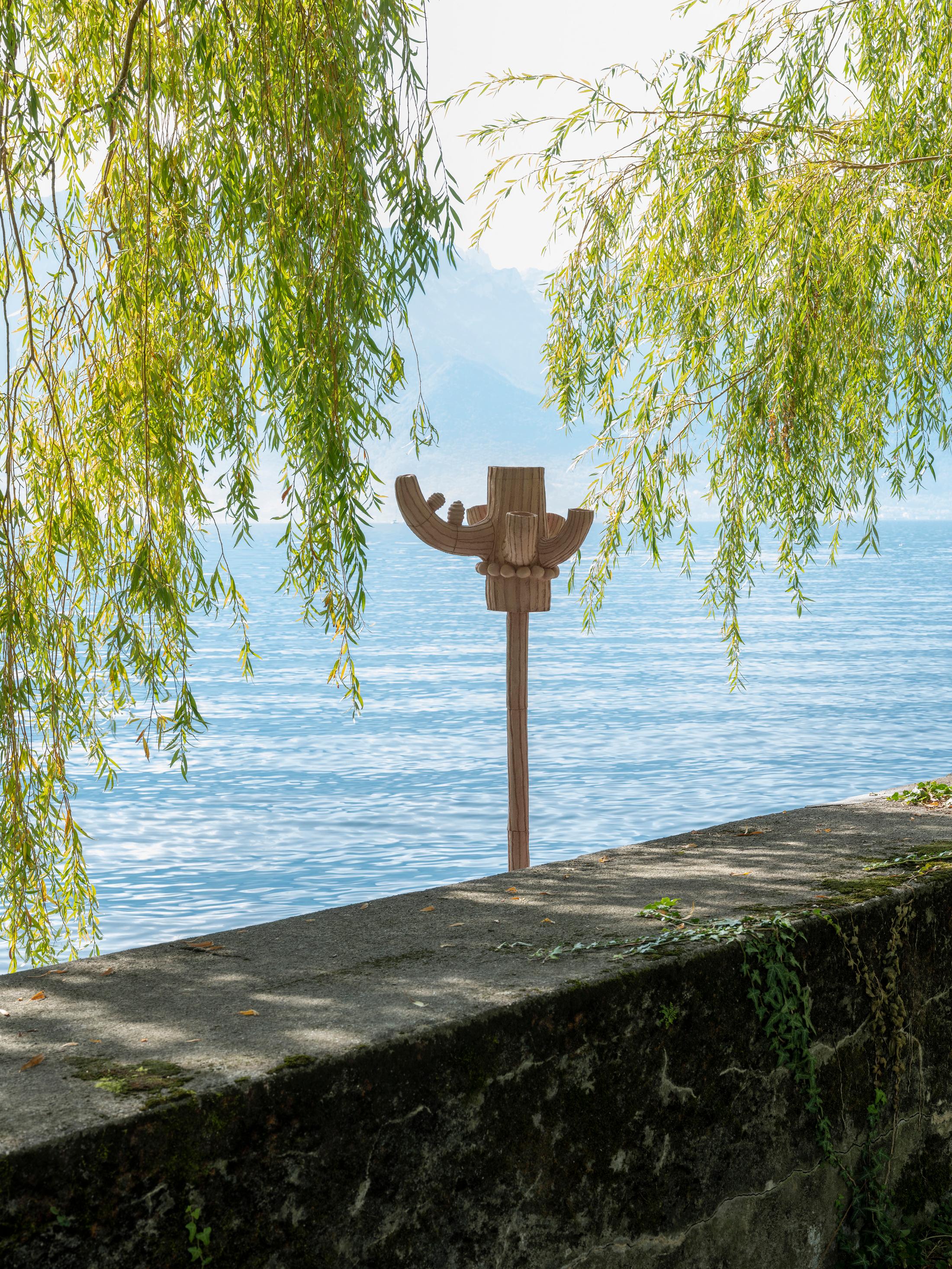 Exhibition View Groupshow «Modern Nature – an hommage to Derek Jarman; view on Marie Griesmar, Zanichellia; Chara; Myriophyllum from the Benthic Zone series (2019)» at La Becque, La Tour-de-Peilz, 2019 / Photo: © Julien Gremaud / Courtesy: the artist and La Becque