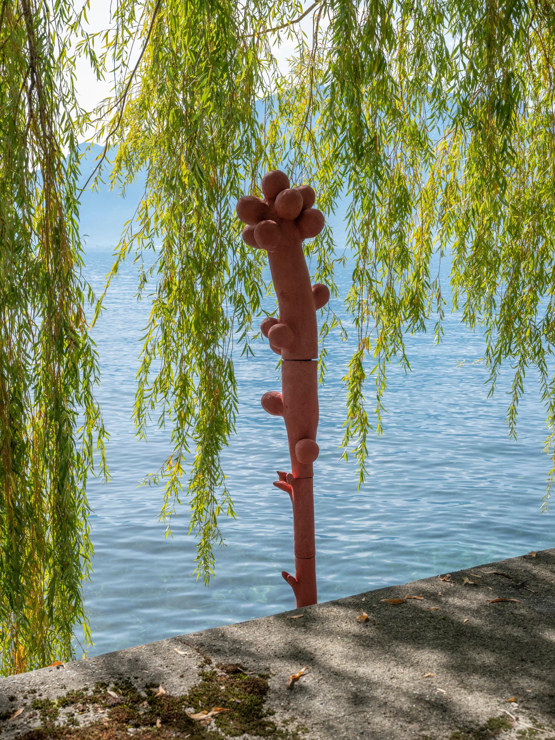 Exhibition View Groupshow «Modern Nature – an hommage to Derek Jarman; view on Marie Griesmar, Zanichellia; Chara; Myriophyllum from the Benthic Zone series (2019)» at La Becque, La Tour-de-Peilz, 2019 / Photo: © Julien Gremaud / Courtesy: the artist and La Becque