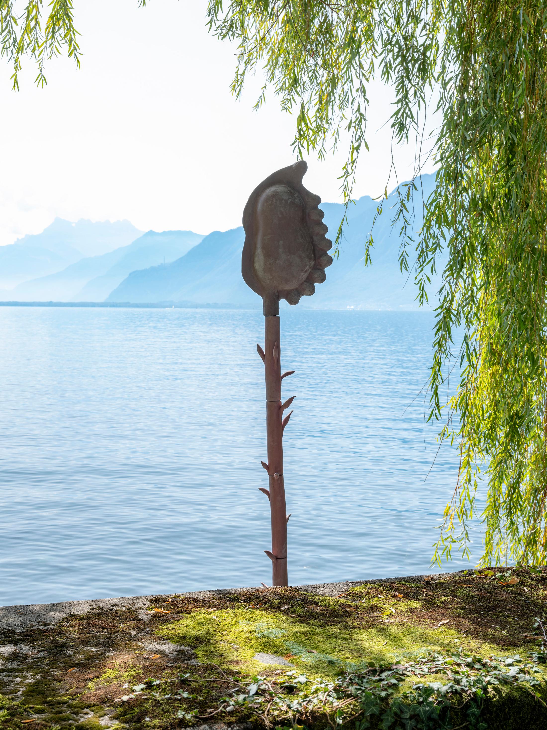 Exhibition View Groupshow «Modern Nature – an hommage to Derek Jarman; view on Marie Griesmar, Zanichellia; Chara; Myriophyllum from the Benthic Zone series (2019)» at La Becque, La Tour-de-Peilz, 2019 / Photo: © Julien Gremaud / Courtesy: the artist and La Becque